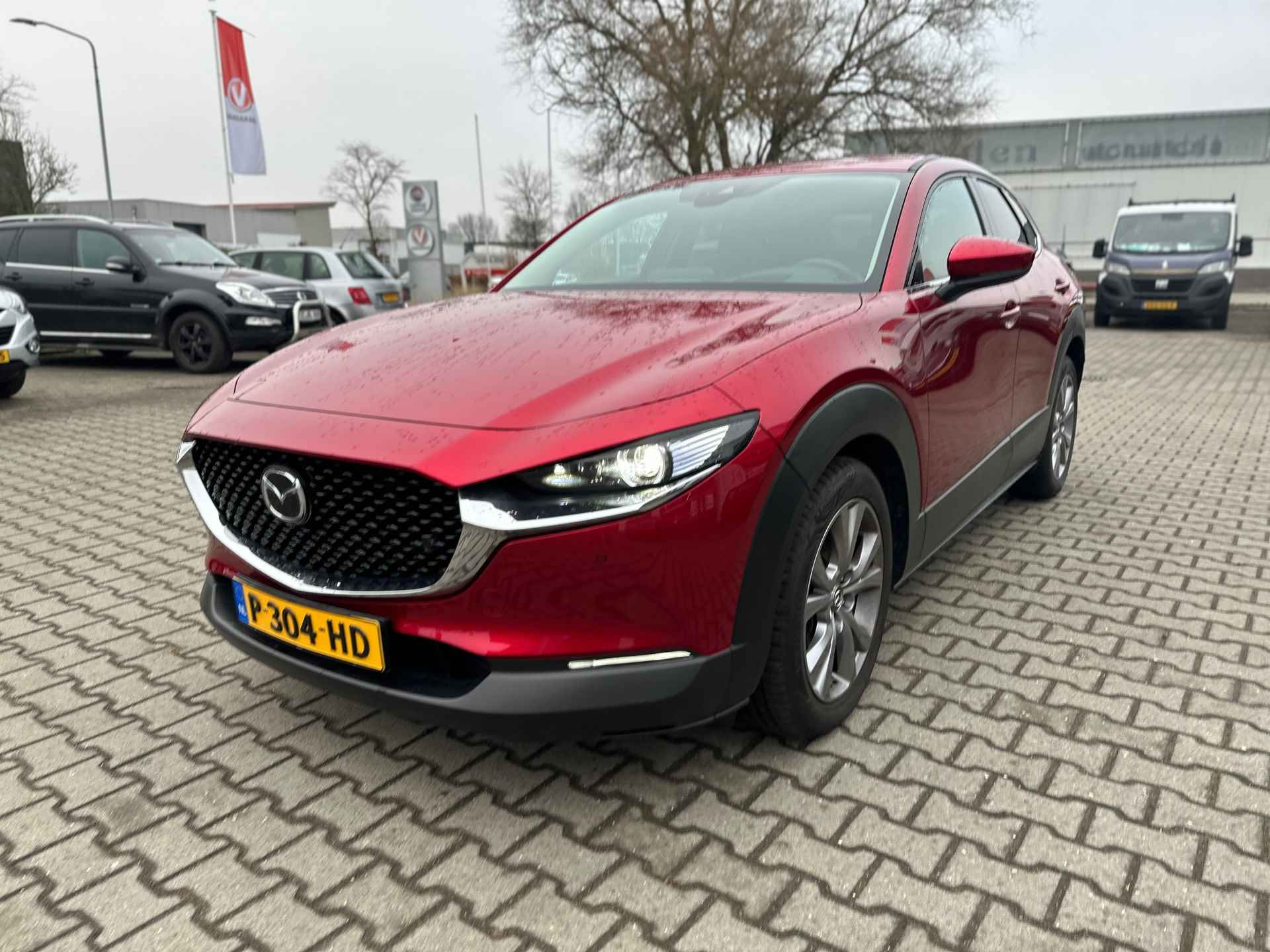 Mazda CX-30 BOVAG 40-Puntencheck