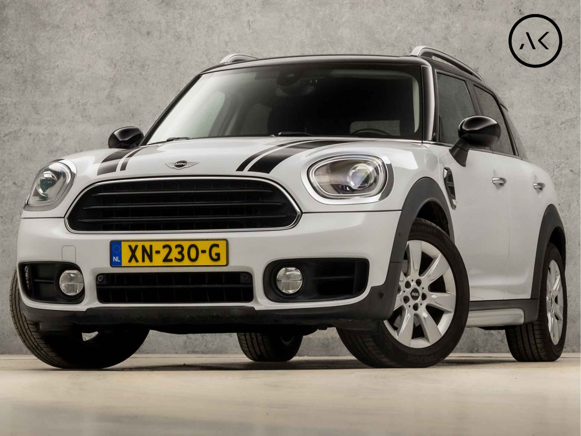 Mini Countryman BOVAG 40-Puntencheck