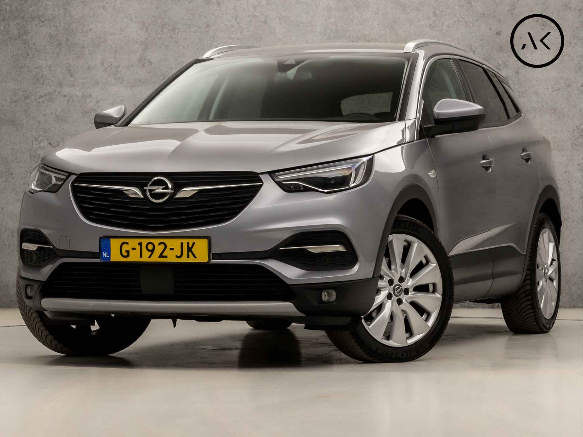 Opel Grandland X BOVAG 40-Puntencheck