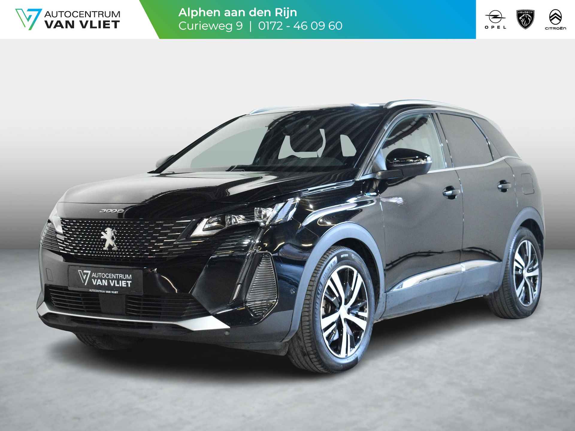 Peugeot 3008 BOVAG 40-Puntencheck