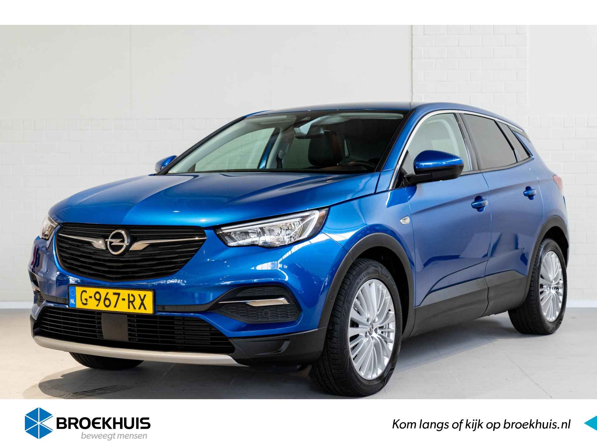 Opel Grandland X BOVAG 40-Puntencheck