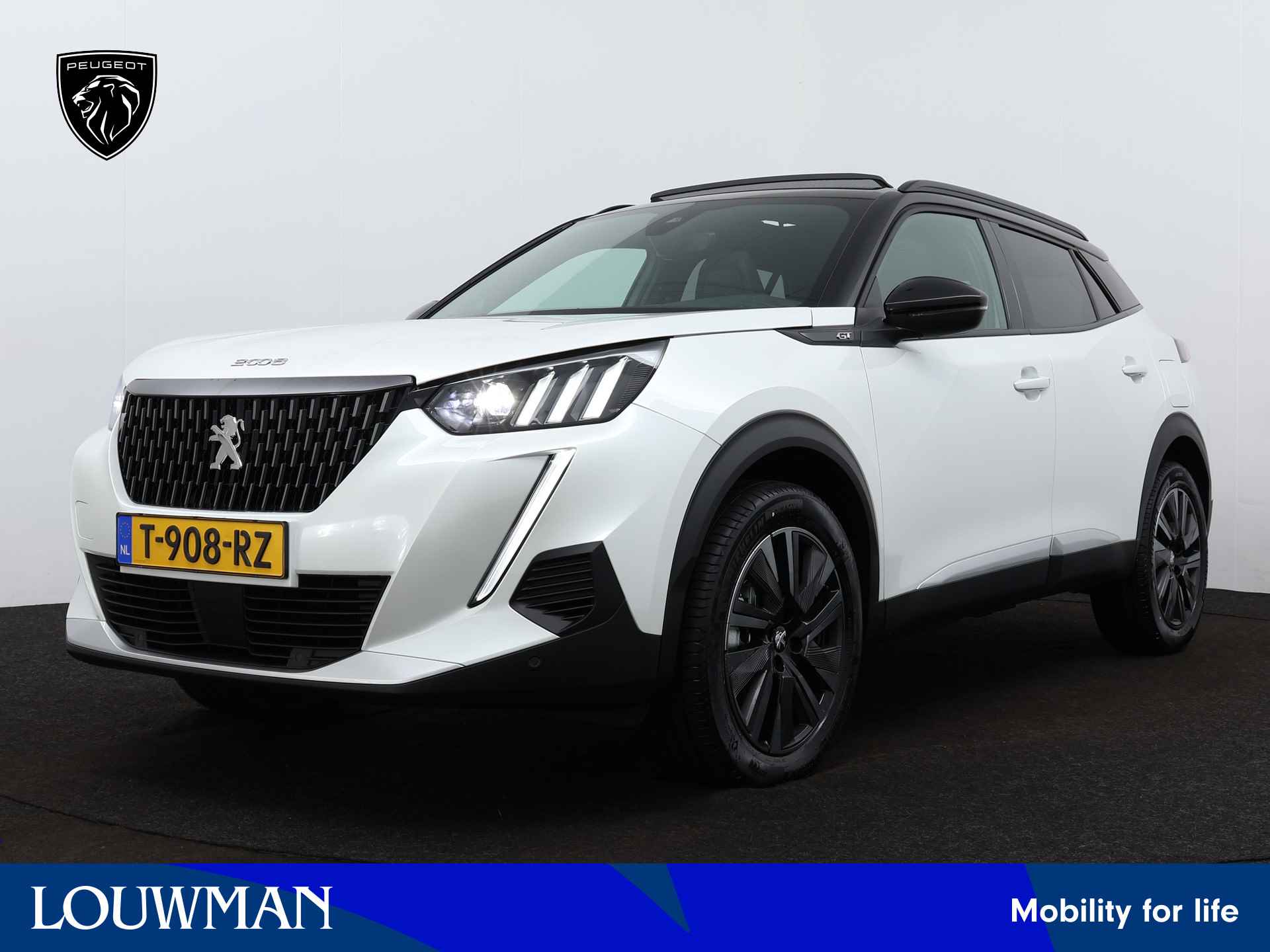 Peugeot 2008 BOVAG 40-Puntencheck