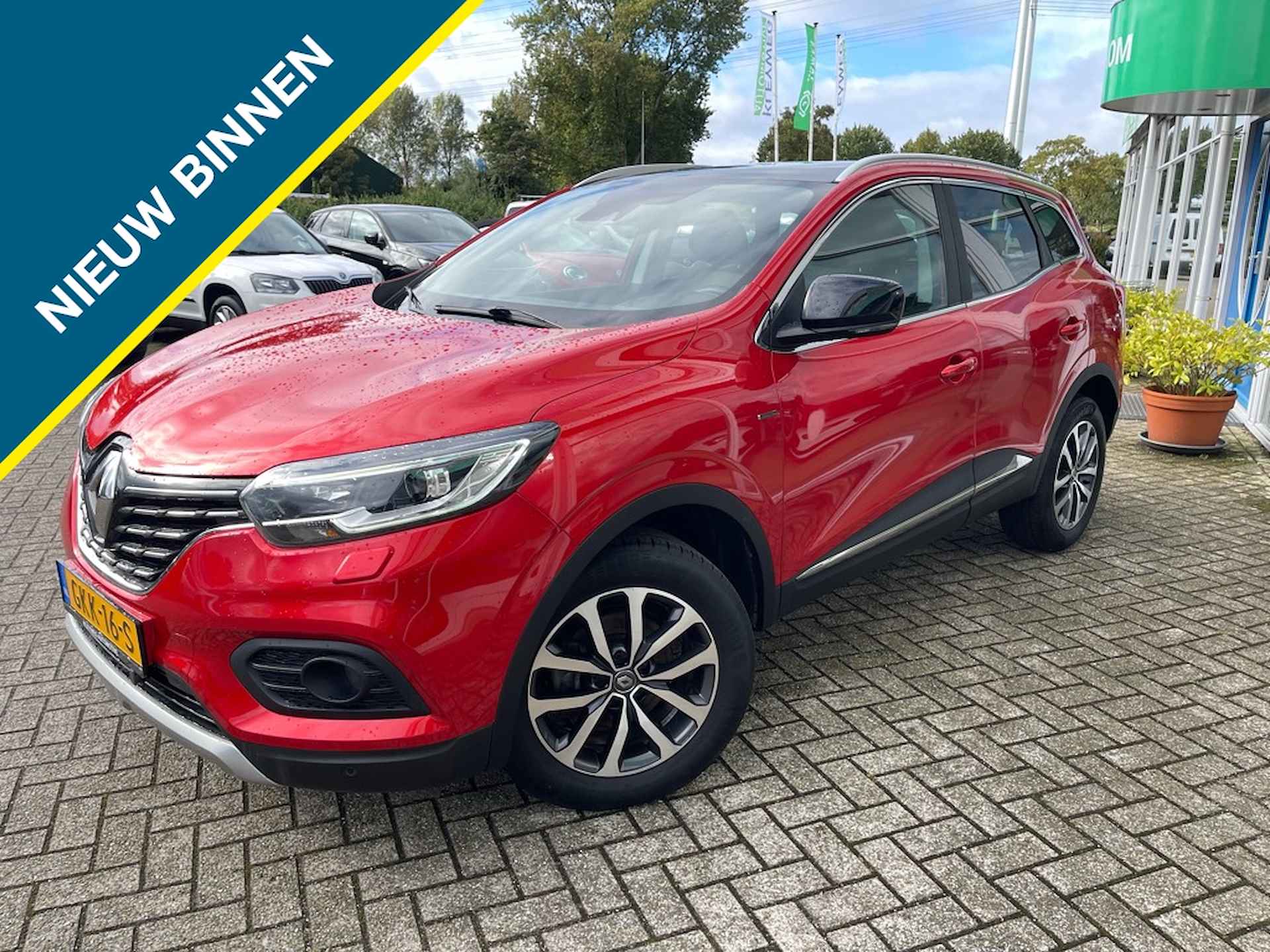 Renault Kadjar BOVAG 40-Puntencheck