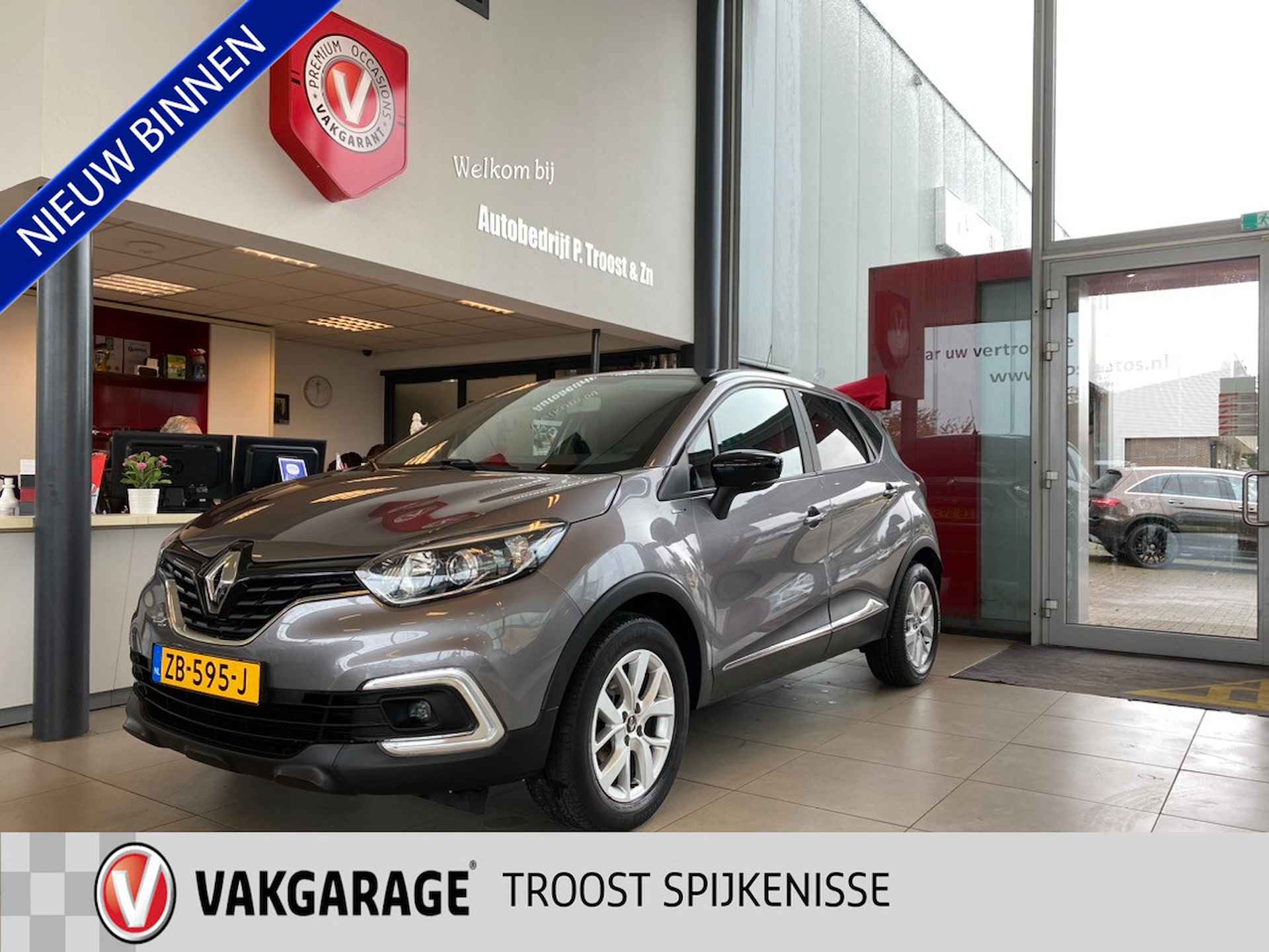 Renault Captur BOVAG 40-Puntencheck