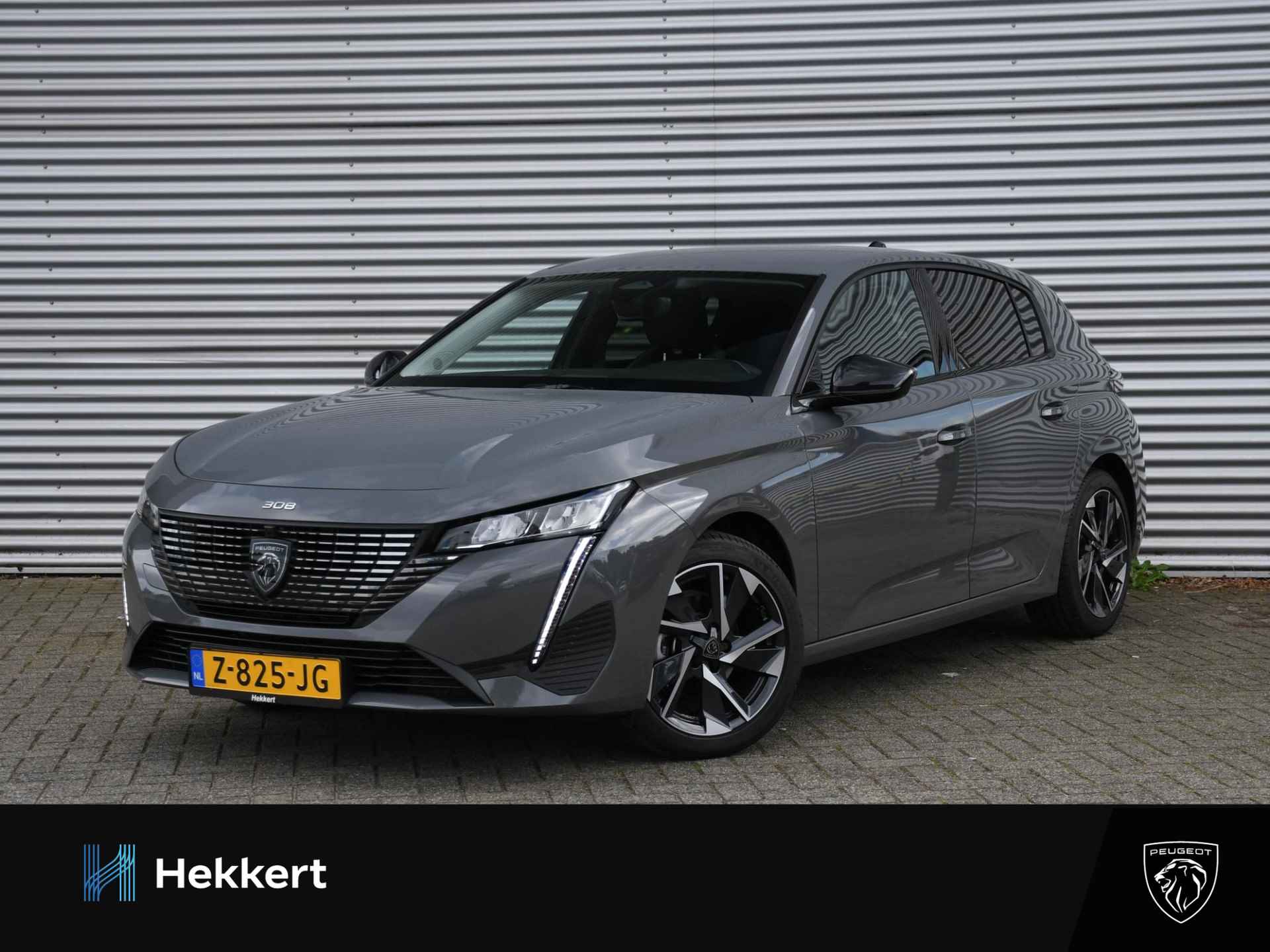 Peugeot 308 BOVAG 40-Puntencheck