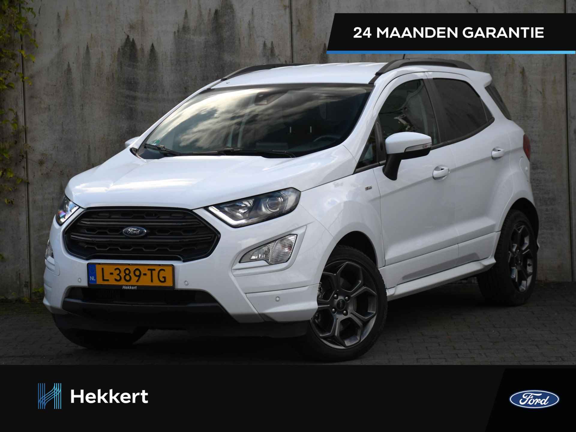 Ford EcoSport BOVAG 40-Puntencheck