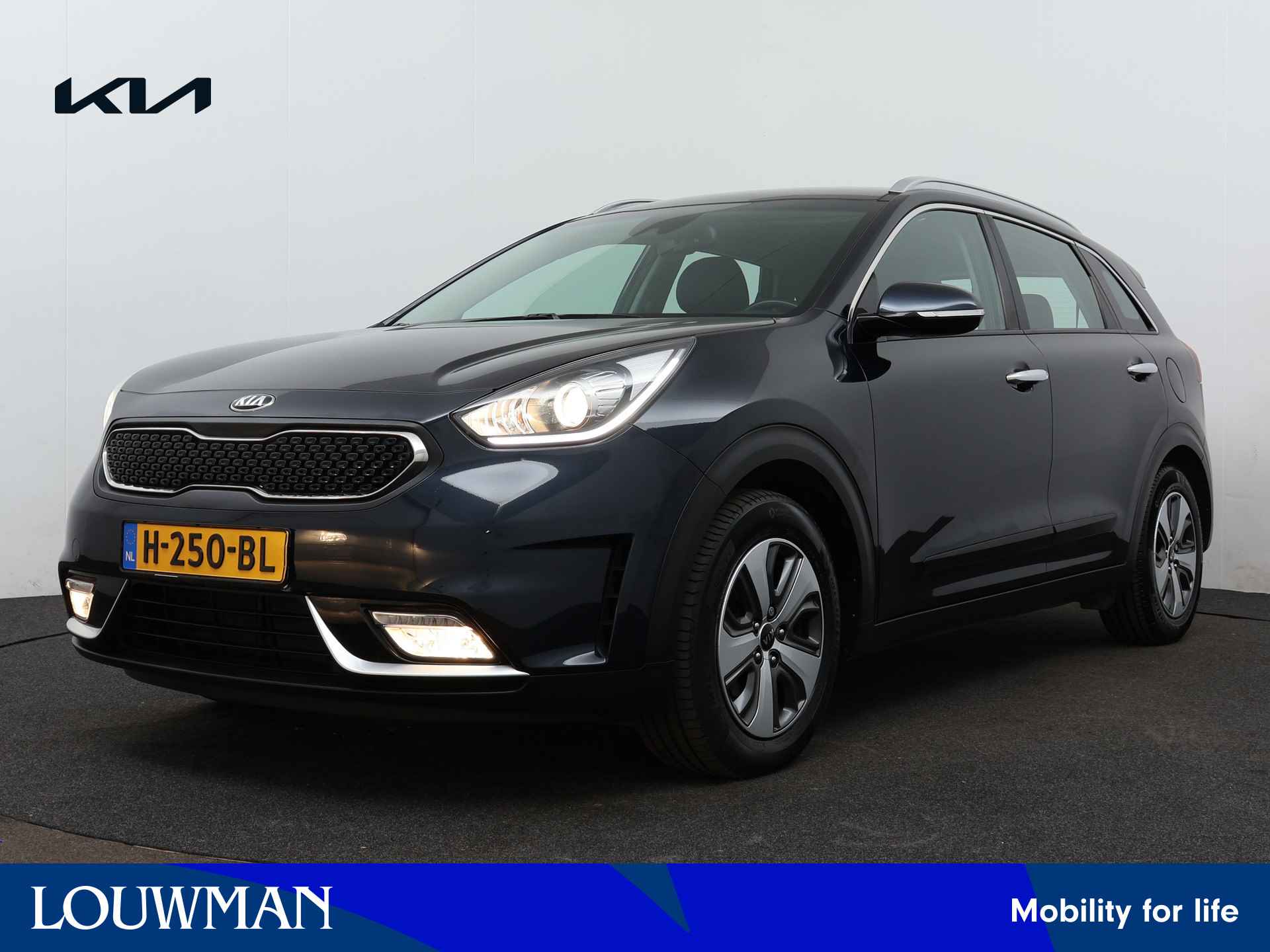 Kia Niro BOVAG 40-Puntencheck