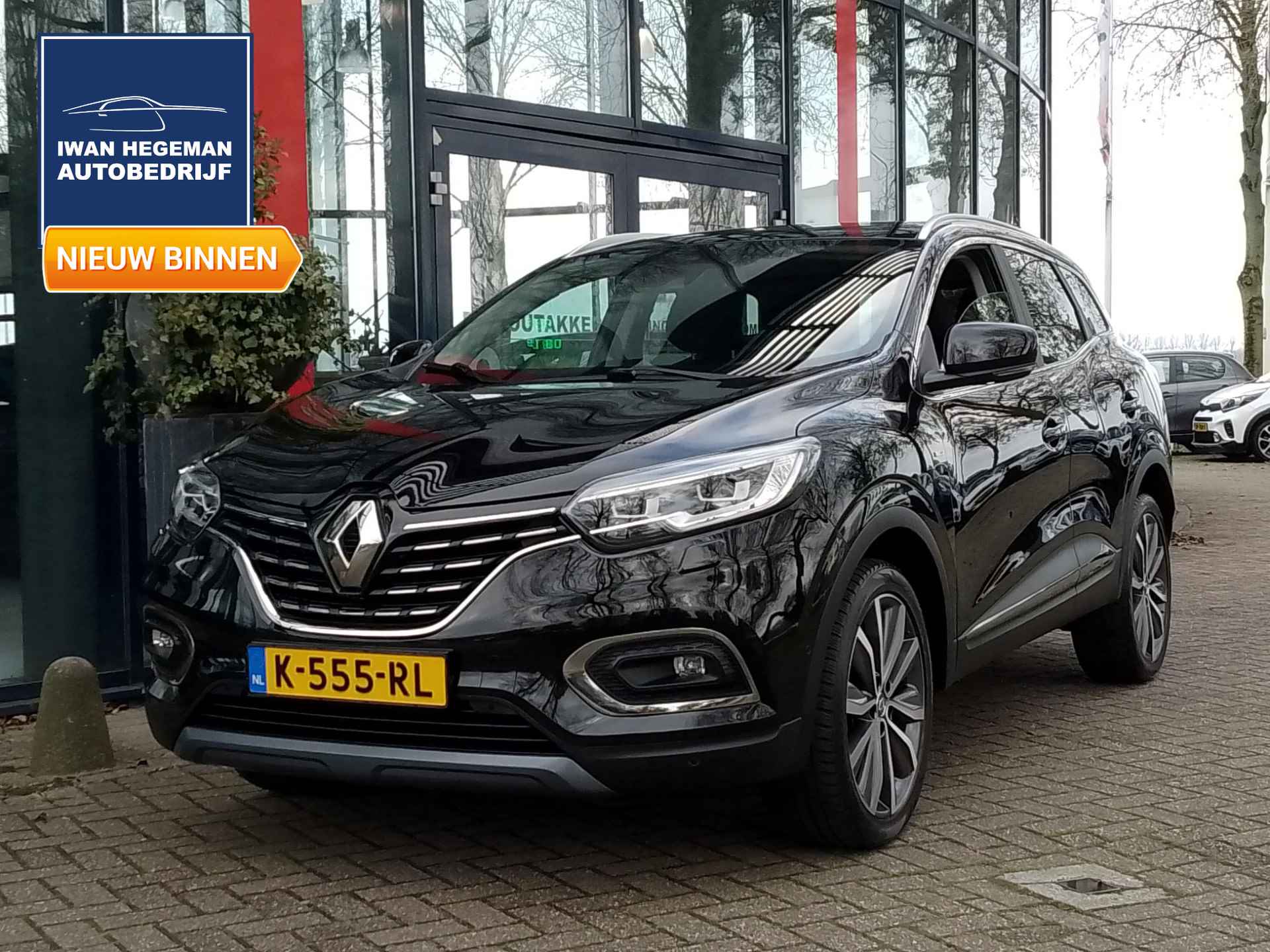 Renault Kadjar BOVAG 40-Puntencheck