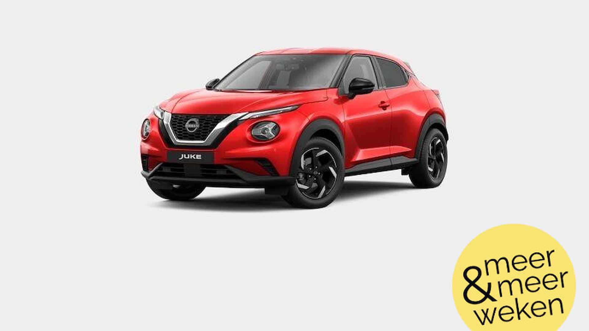 Nissan Juke BOVAG 40-Puntencheck