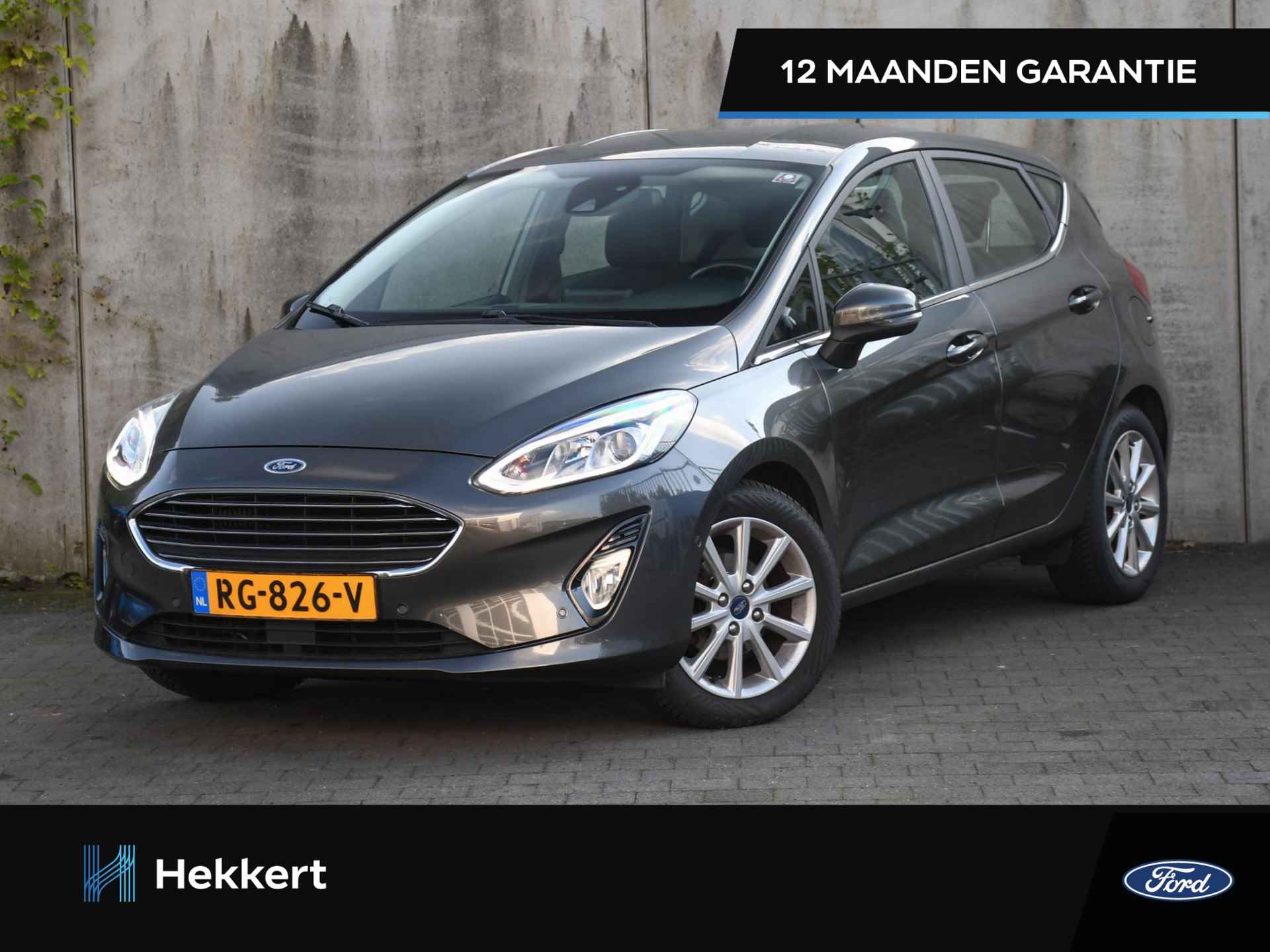 Ford Fiesta BOVAG 40-Puntencheck