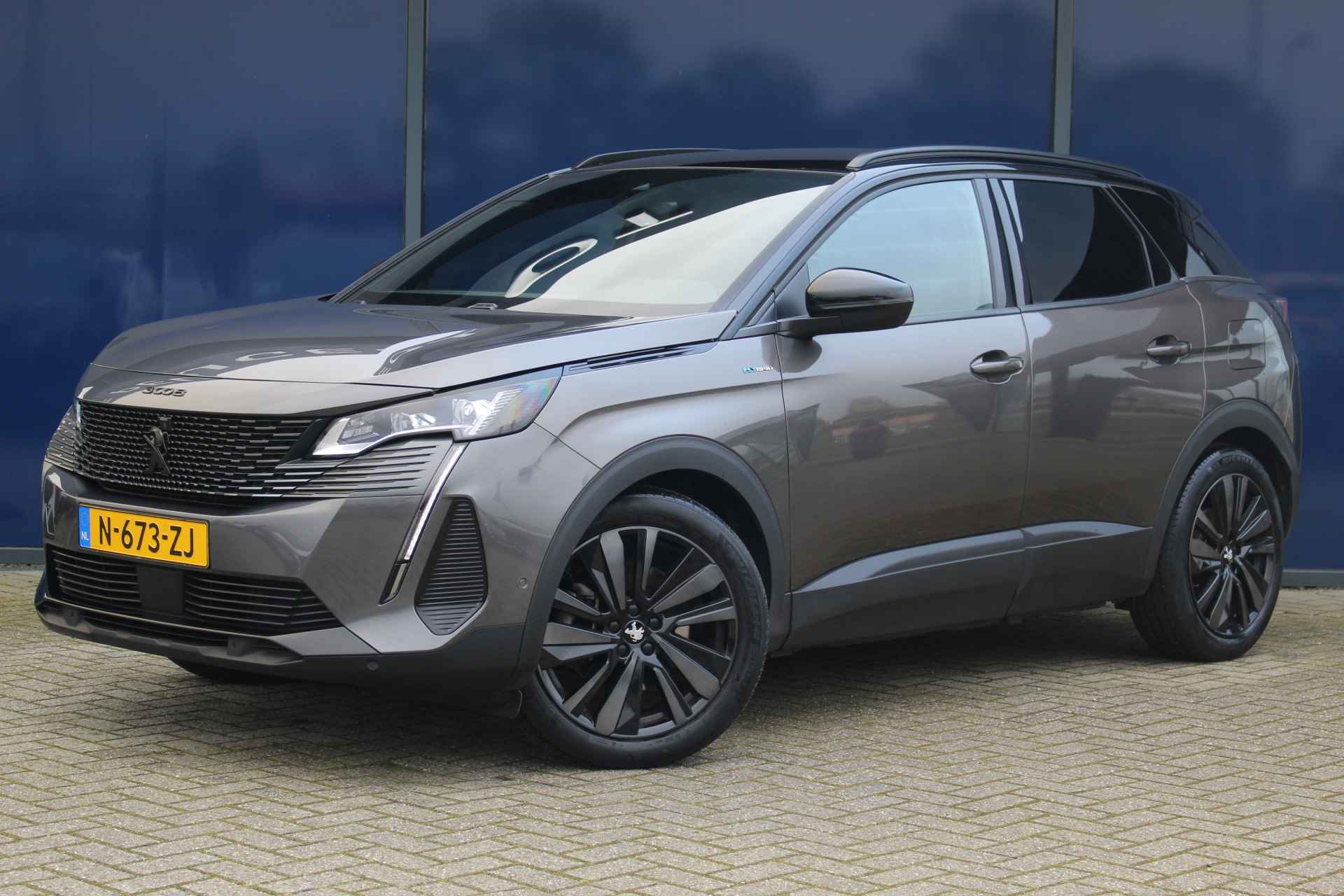 Peugeot 3008 BOVAG 40-Puntencheck