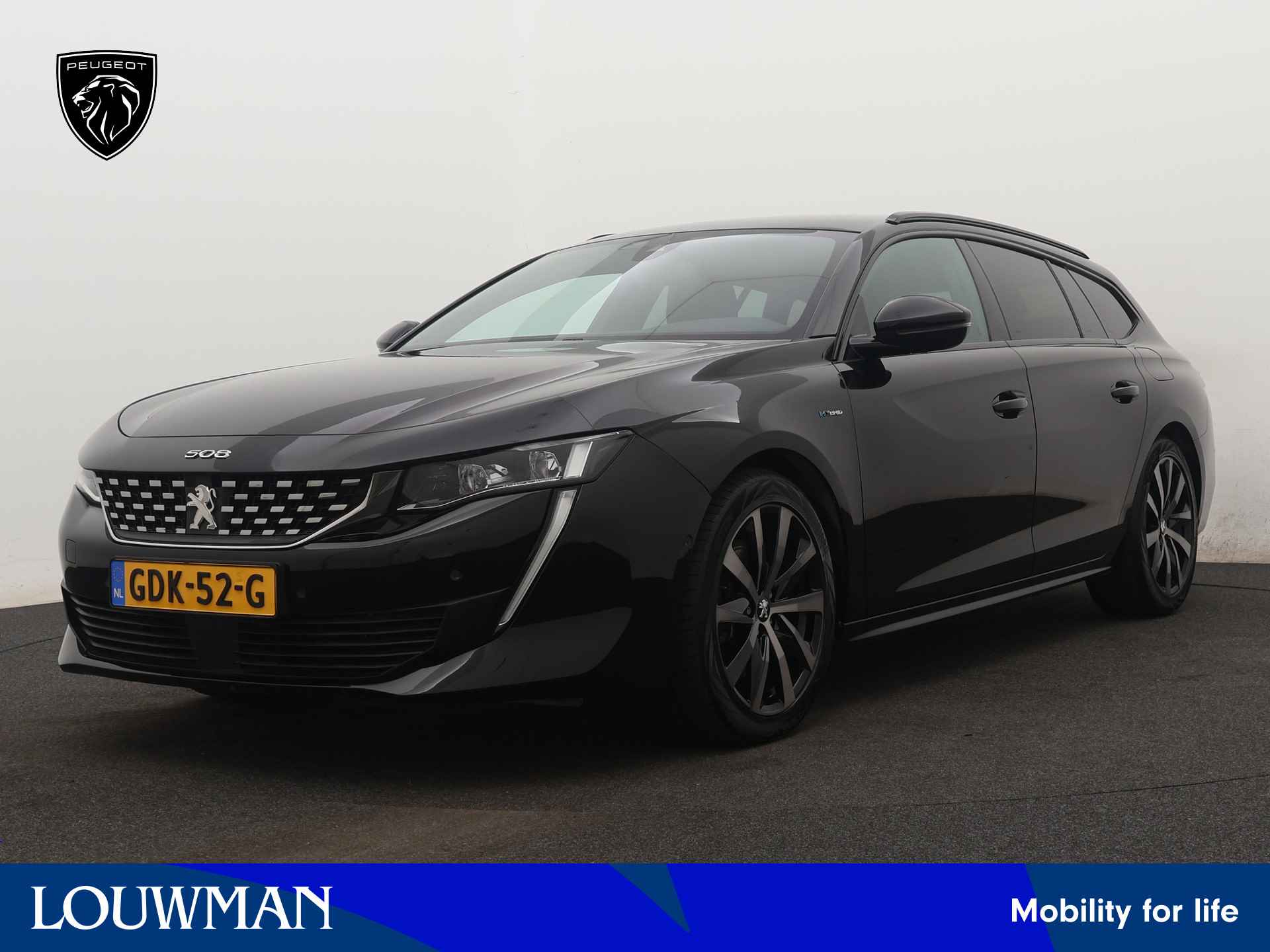 Peugeot 508 BOVAG 40-Puntencheck