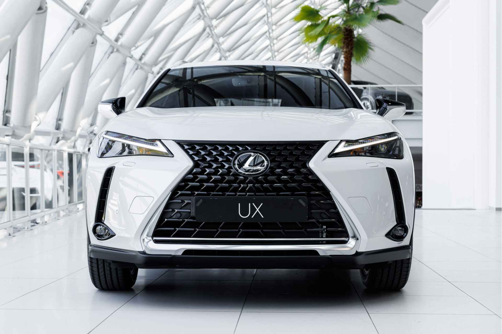 Lexus UX 250h Business Line | Apple Carplay | Adaptive Cruise Control | - 24/47