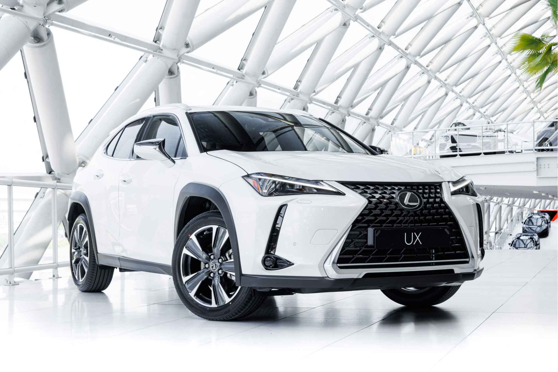 Lexus UX 250h Business Line | Apple Carplay | Adaptive Cruise Control | - 36/47