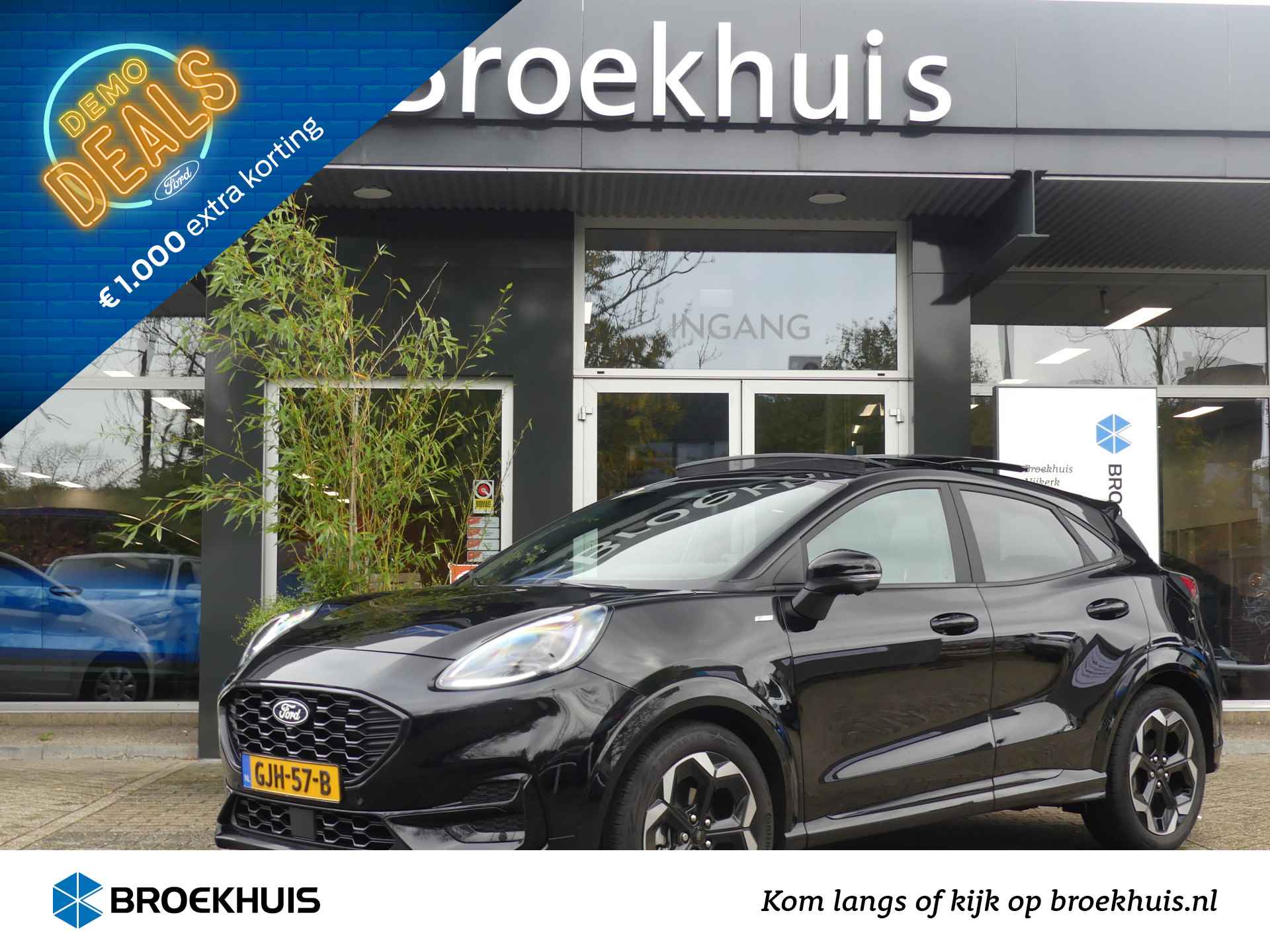 Ford Puma BOVAG 40-Puntencheck