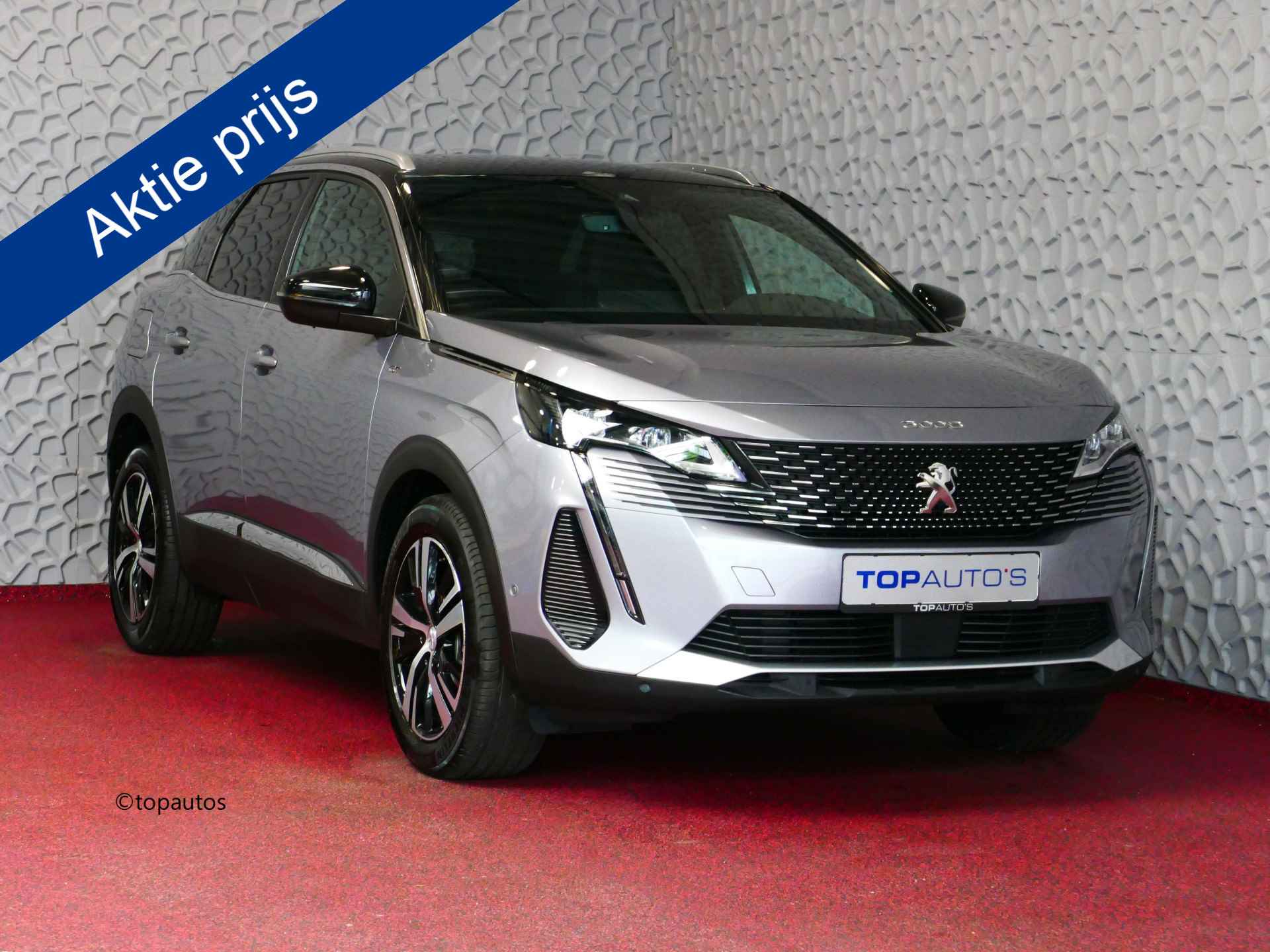 Peugeot 3008 BOVAG 40-Puntencheck