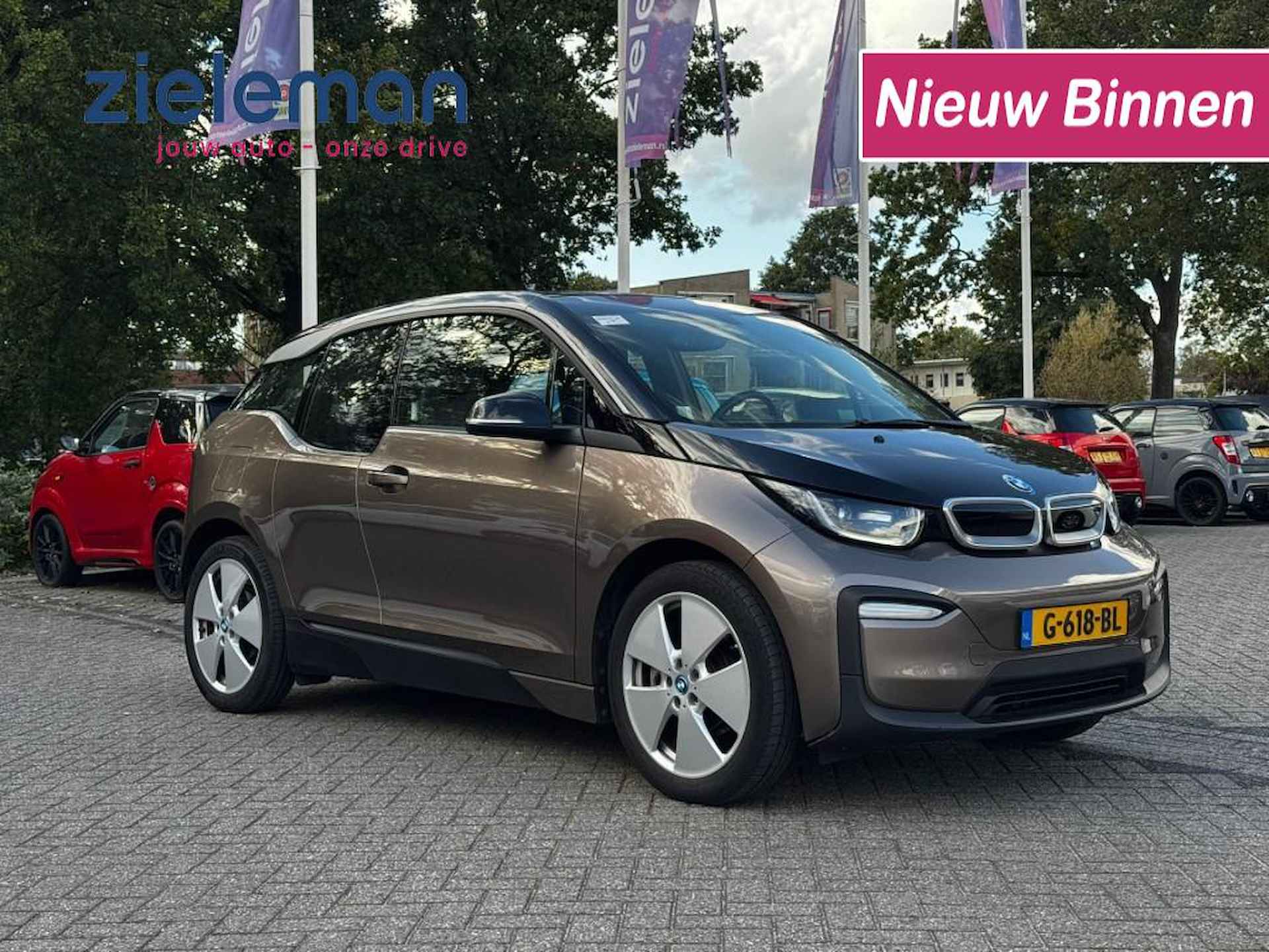 BMW I3 BOVAG 40-Puntencheck