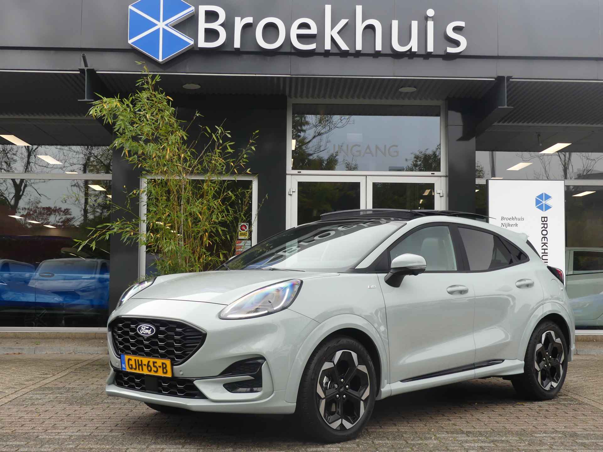 Ford Puma BOVAG 40-Puntencheck