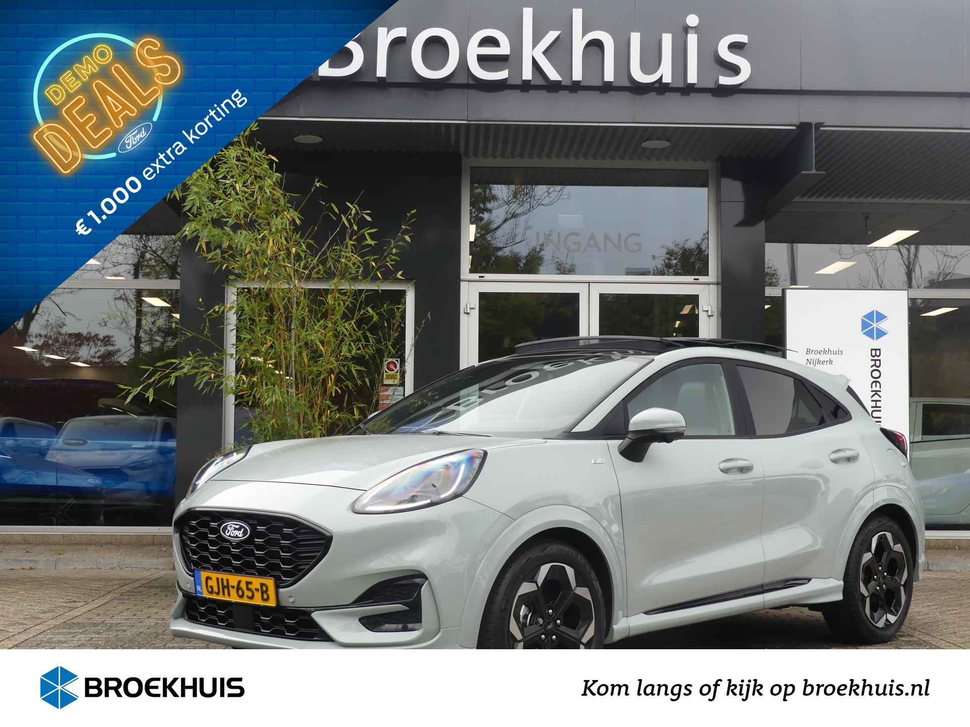 Ford Puma BOVAG 40-Puntencheck