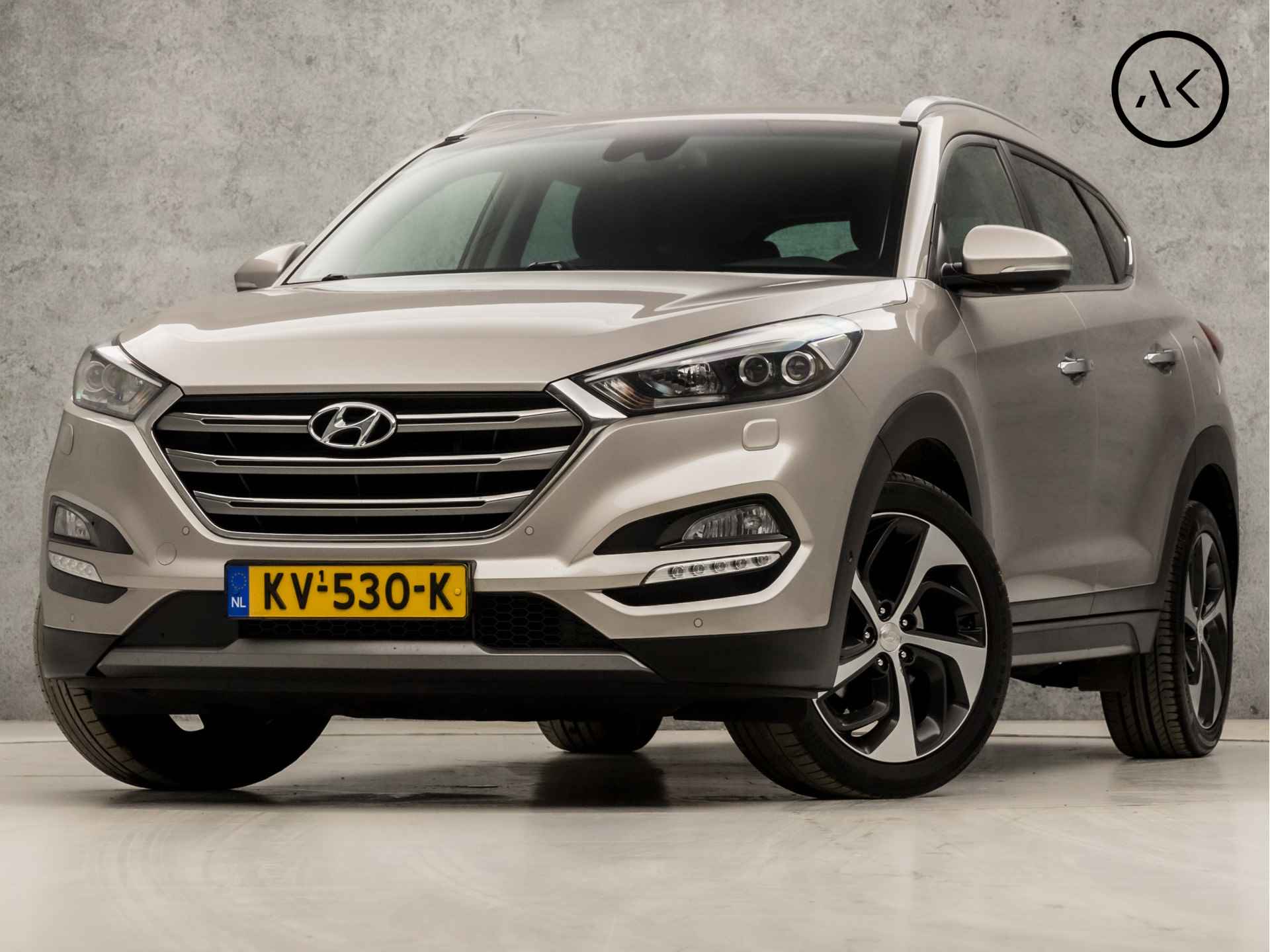 Hyundai Tucson BOVAG 40-Puntencheck