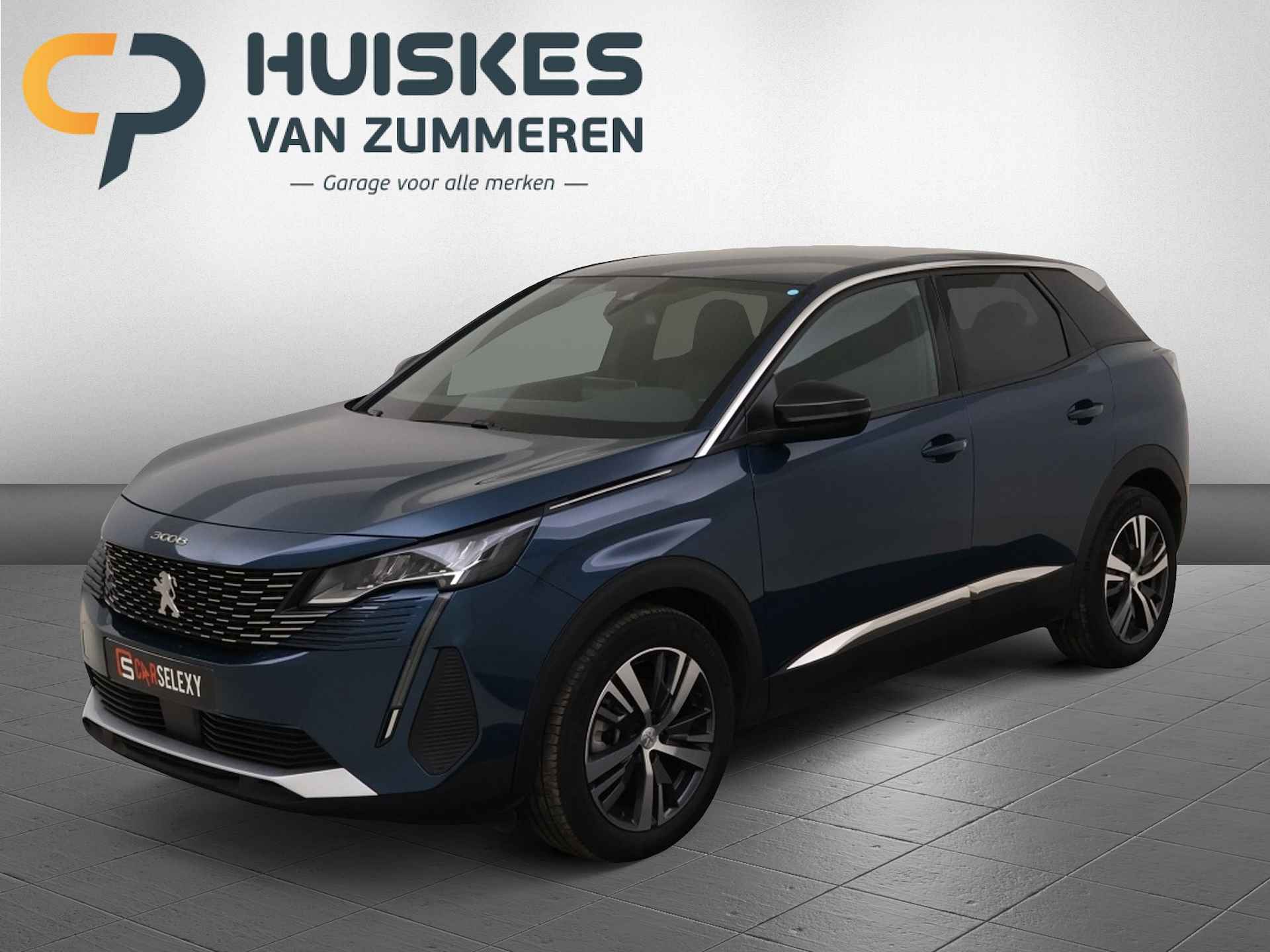 Peugeot 3008 BOVAG 40-Puntencheck