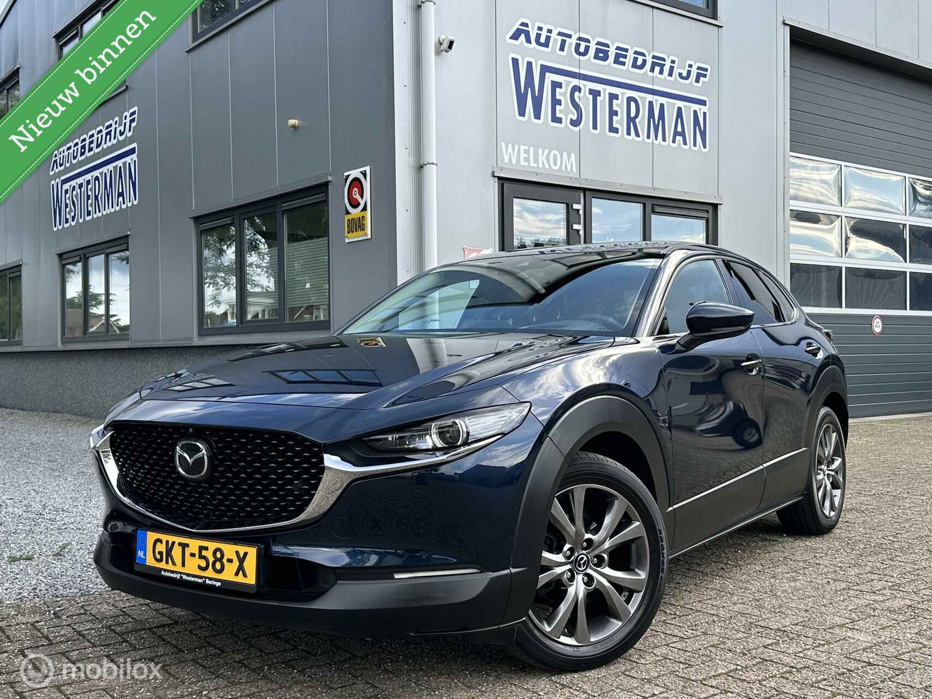 Mazda CX-30 BOVAG 40-Puntencheck