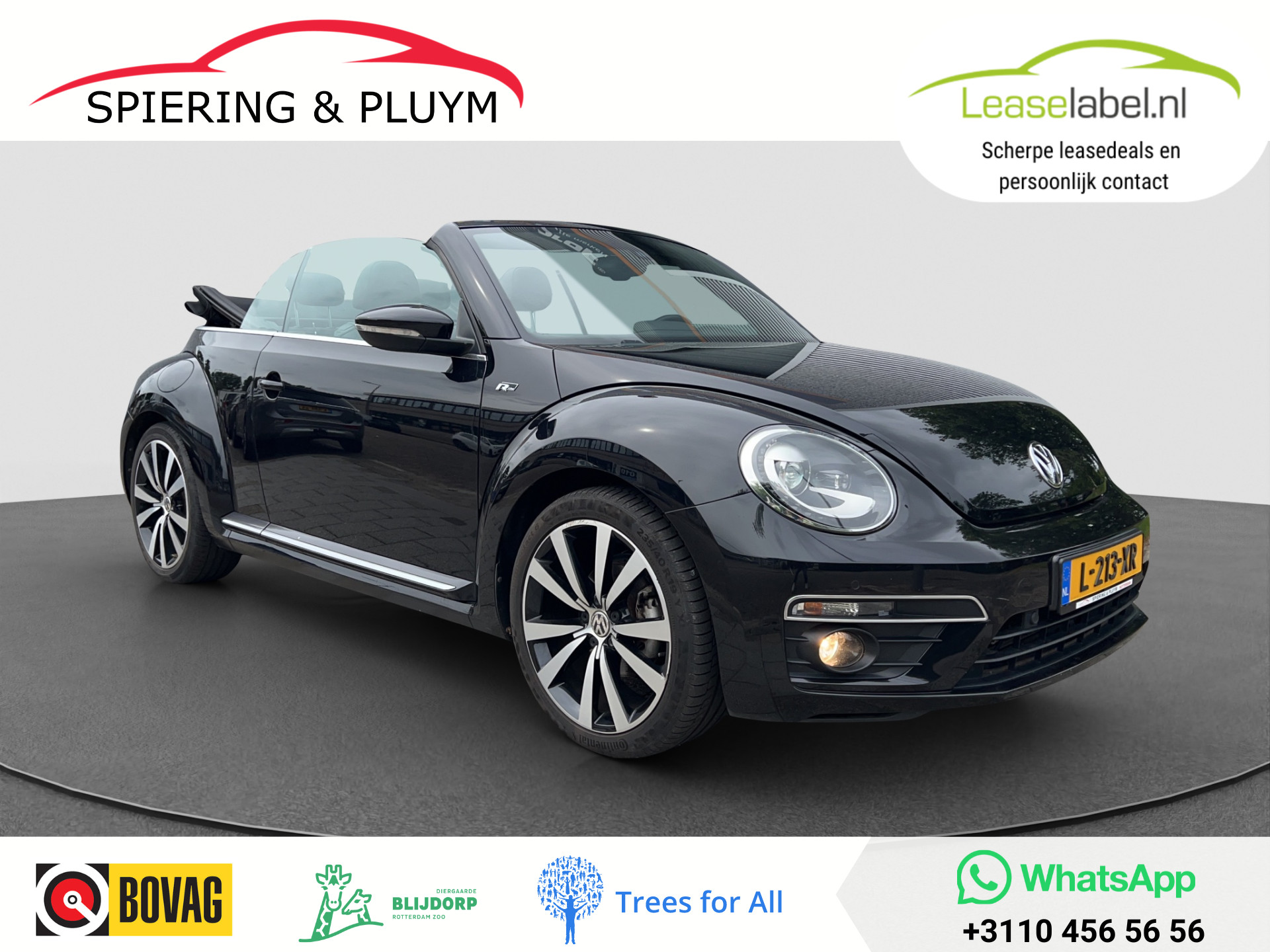 Volkswagen Beetle Cabriolet 1.4 TSI Sport BlueMotion | R-Line | Leder | camera | Fender!