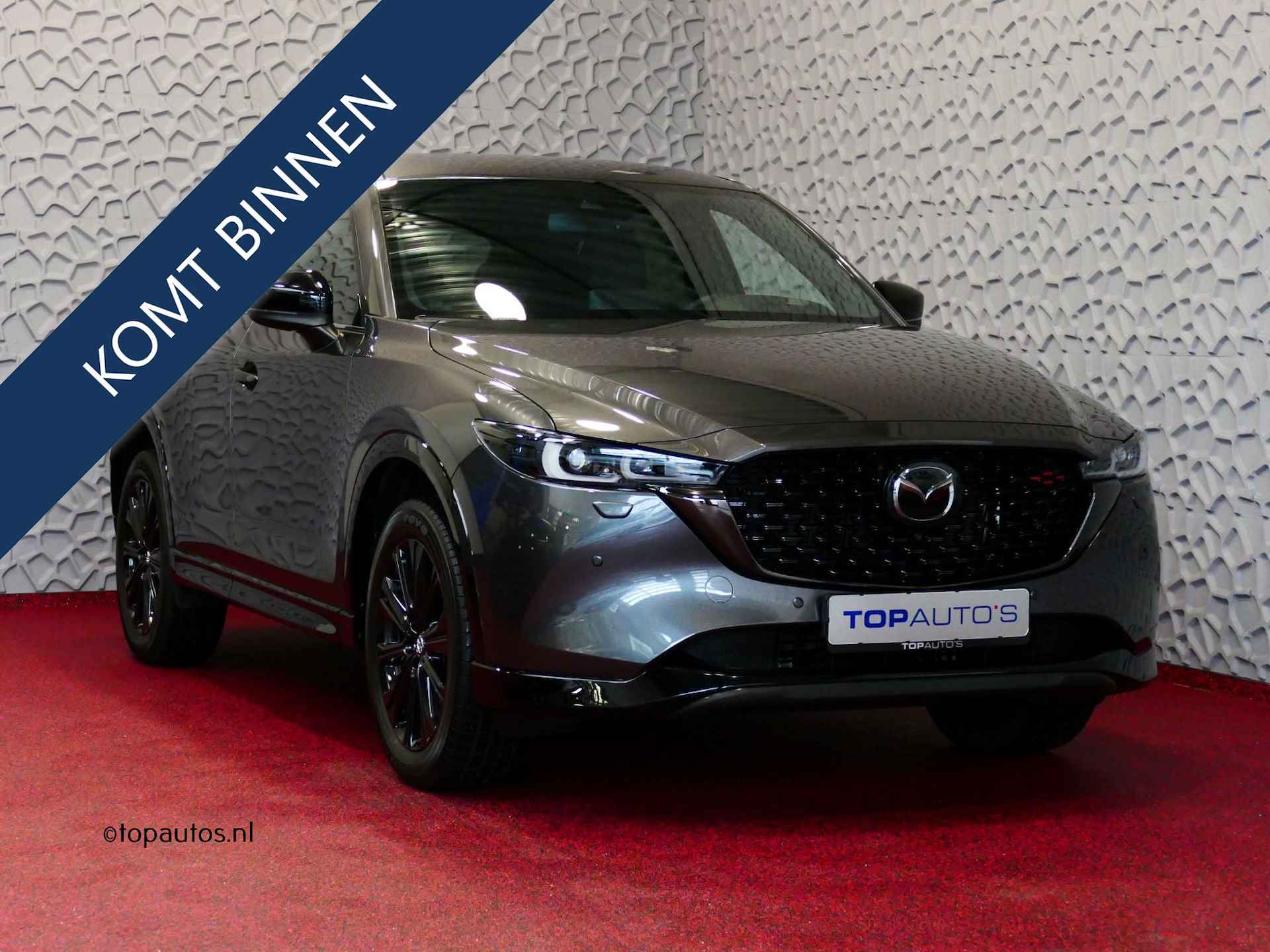 Mazda CX-5 BOVAG 40-Puntencheck