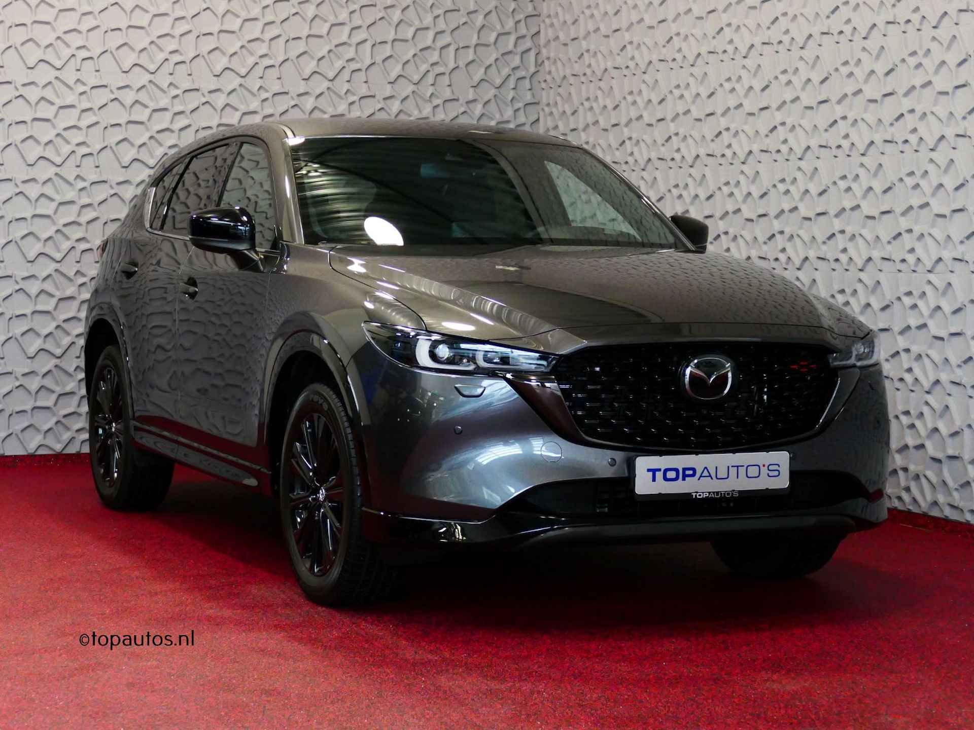 Mazda CX-5 BOVAG 40-Puntencheck