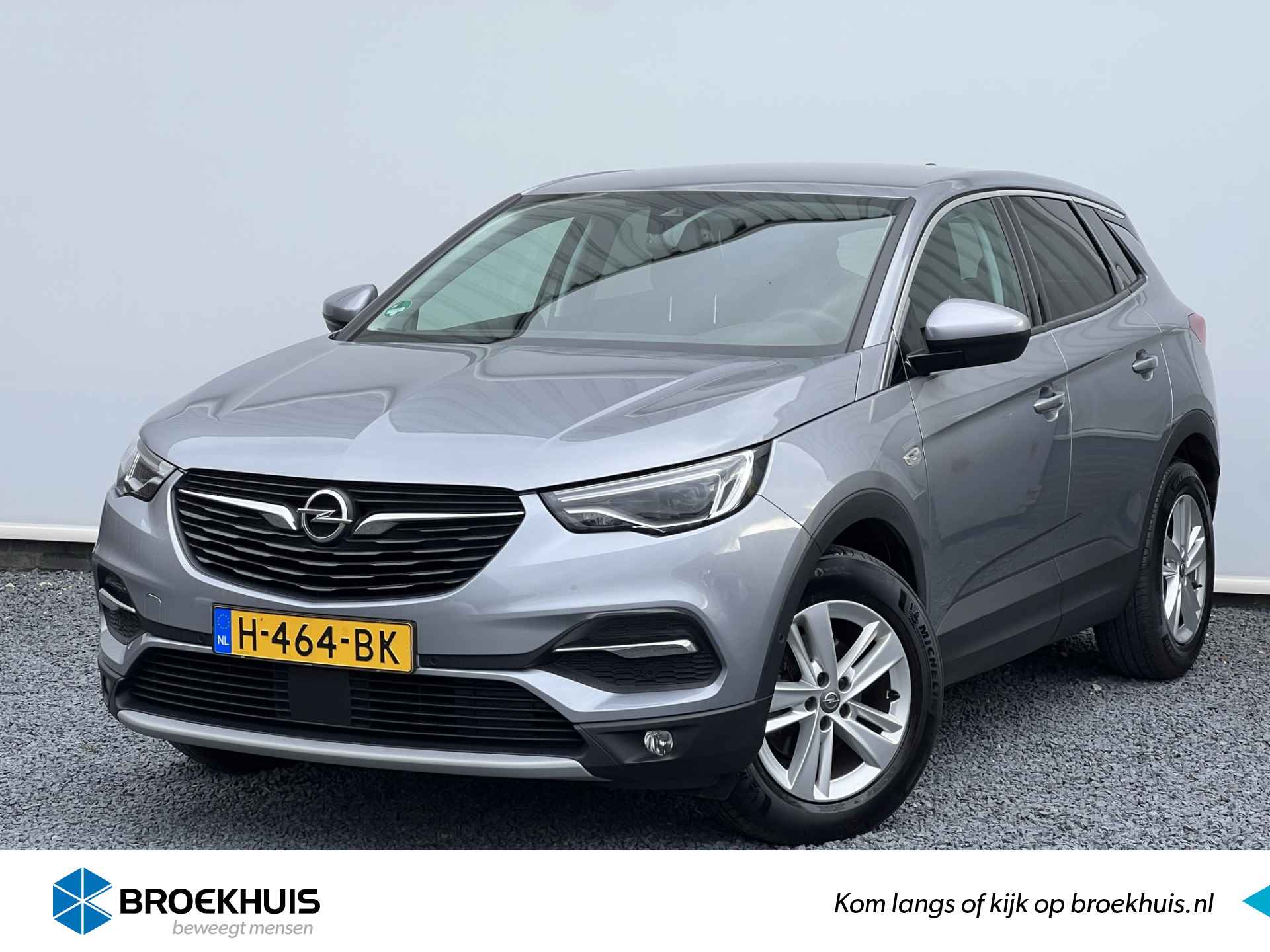 Opel Grandland X BOVAG 40-Puntencheck