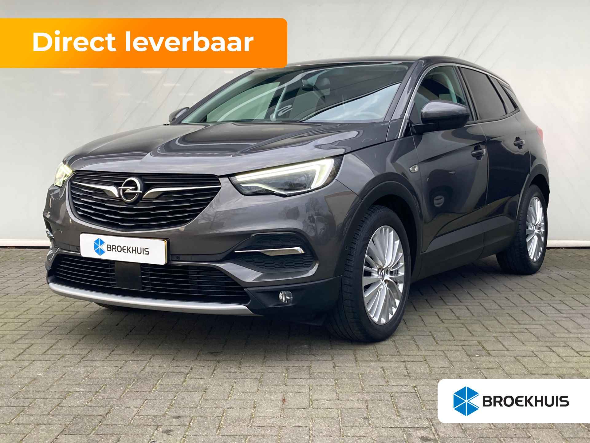 Opel Grandland X BOVAG 40-Puntencheck