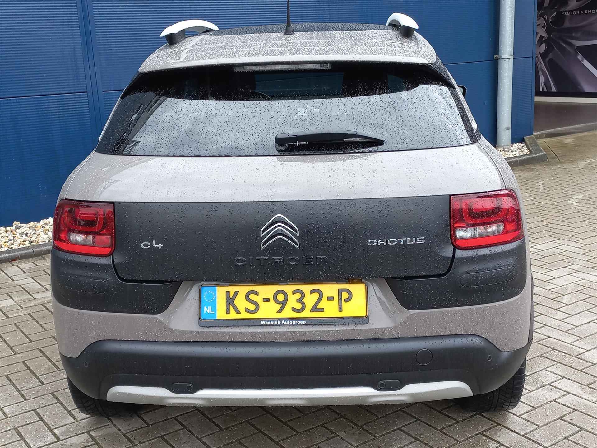 Citroen C4 Cactus 1.2T 110pk RIP CURL, Clima |Navigatie | Camera | Trekhaak | All seasonbanden - 30/43