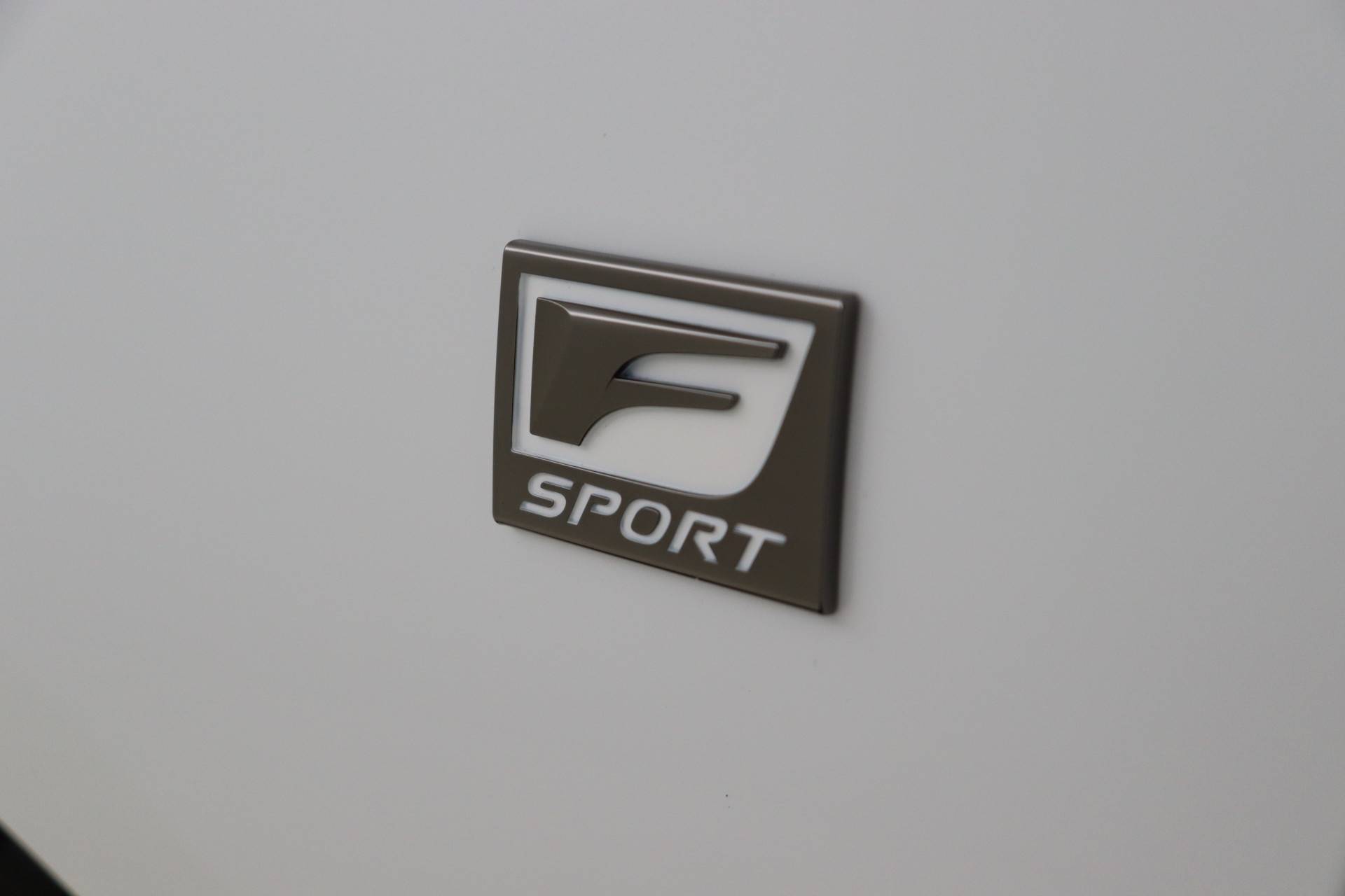 Lexus ES 300h F Sport Line | Mark Levinson | Head Up Display | 19" Velgen | - 53/58