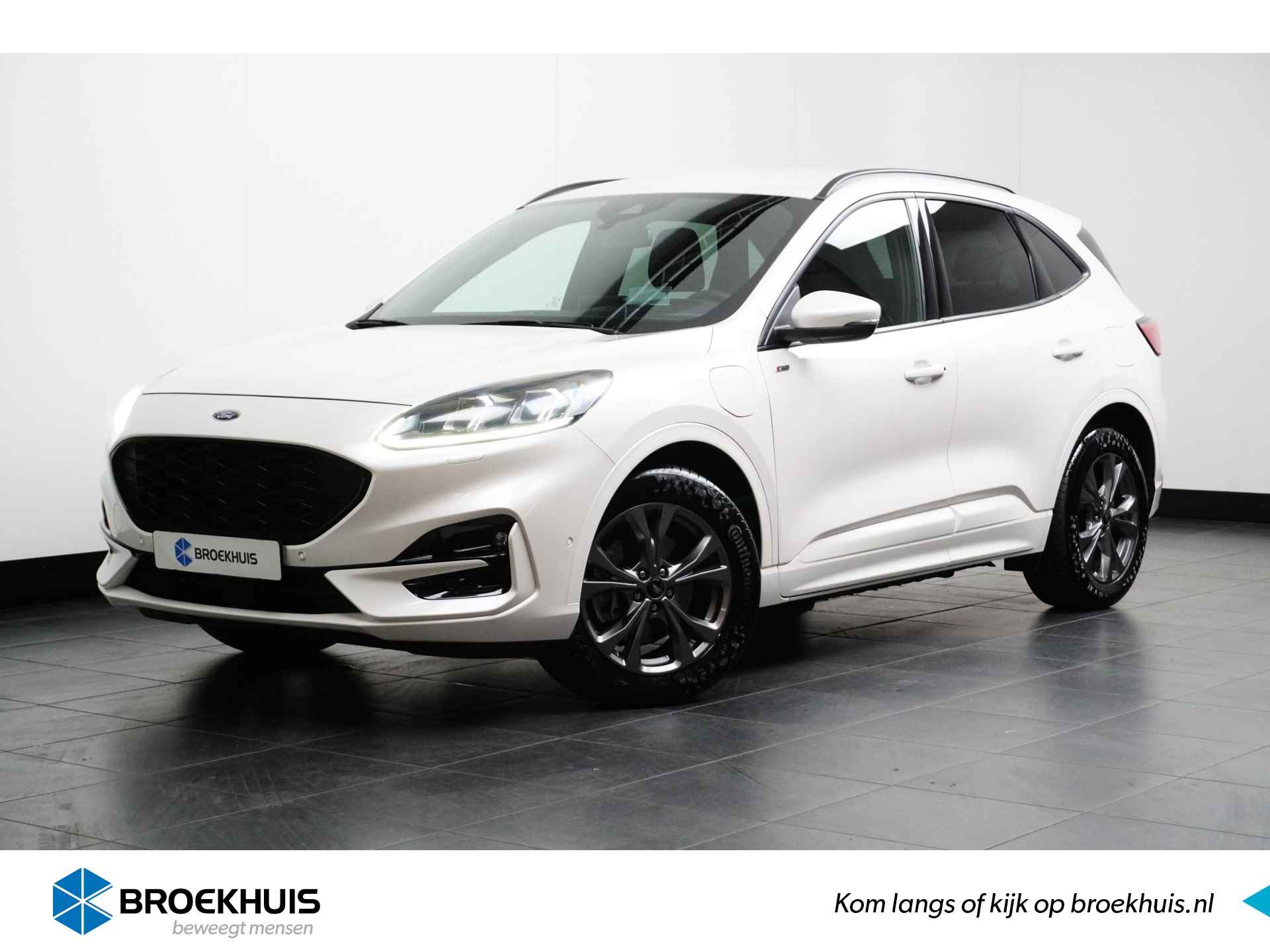 Ford Kuga BOVAG 40-Puntencheck