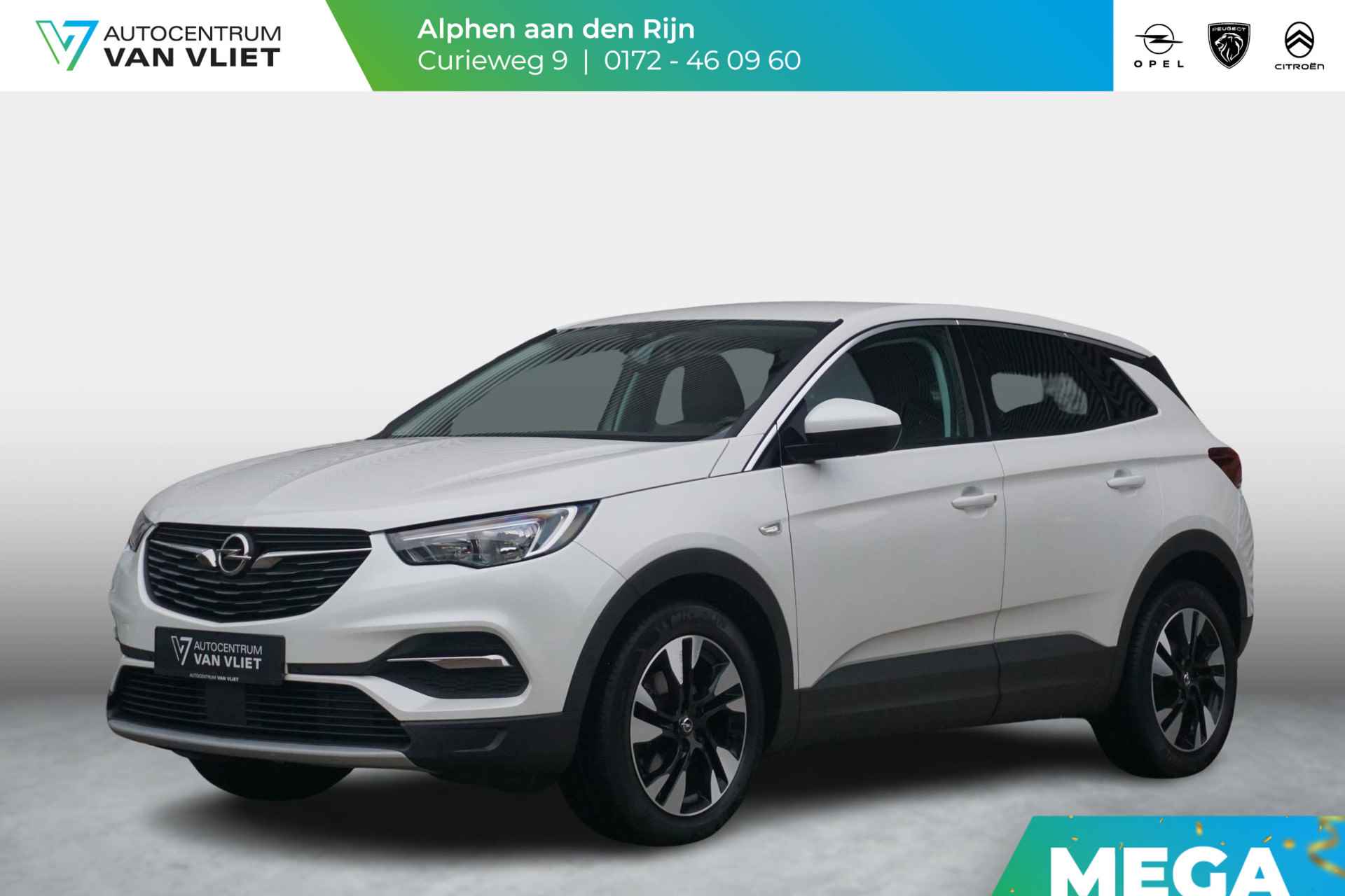 Opel Grandland X BOVAG 40-Puntencheck