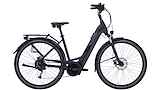 PEGASUS Solero EVO 9 400Wh Lage instap Black Matt 28" 50cm 2023