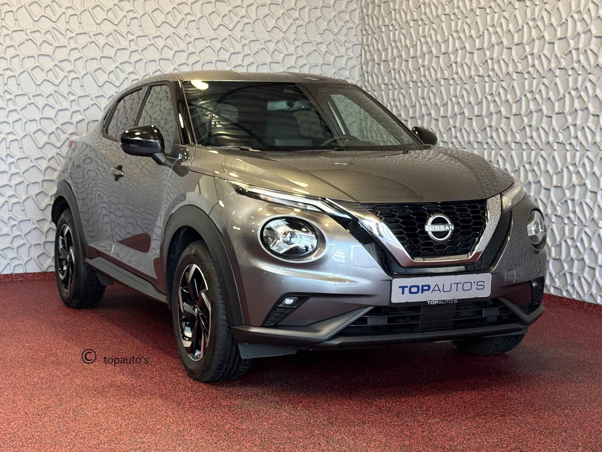 Nissan Juke BOVAG 40-Puntencheck