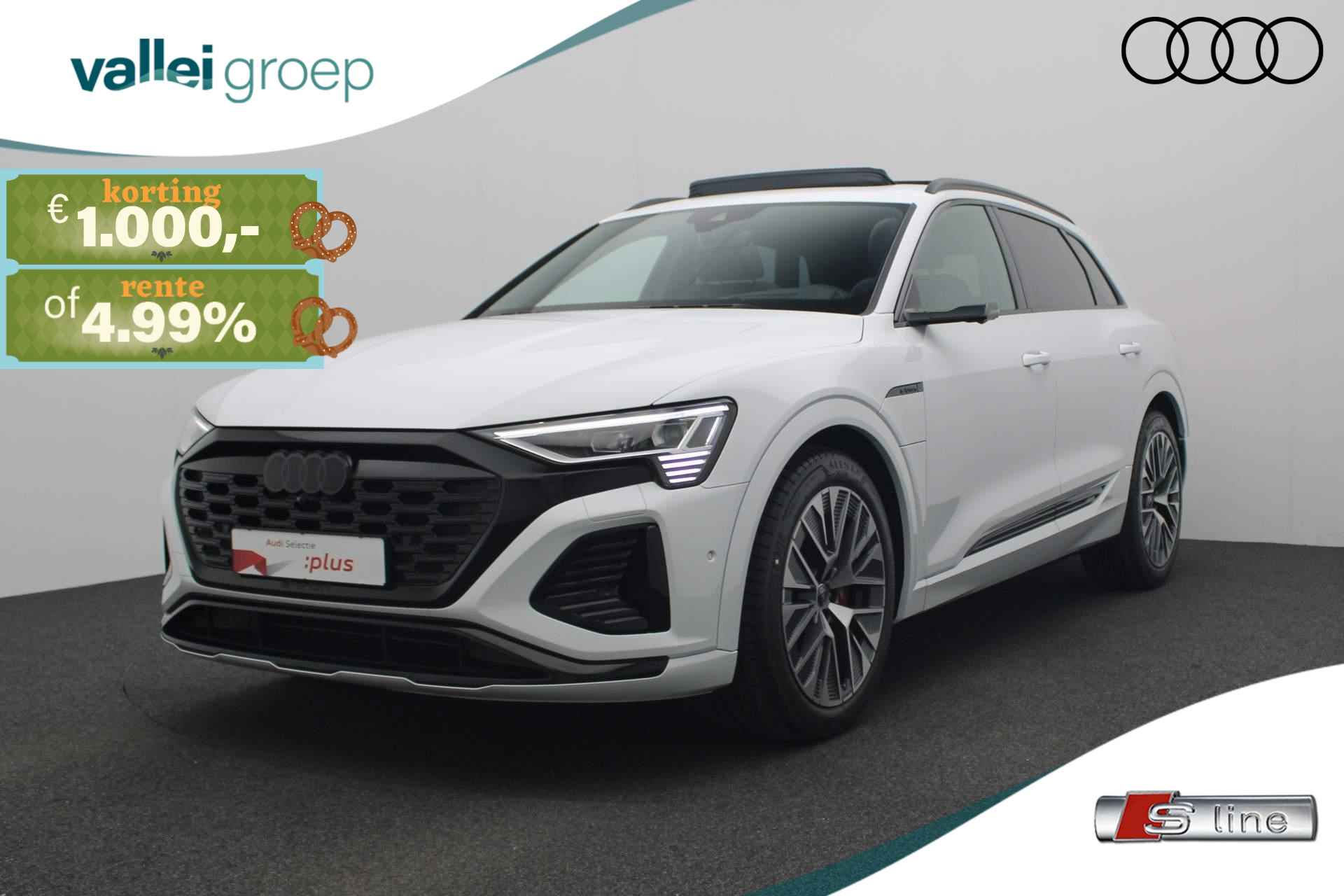 Audi Q8 e-tron BOVAG 40-Puntencheck