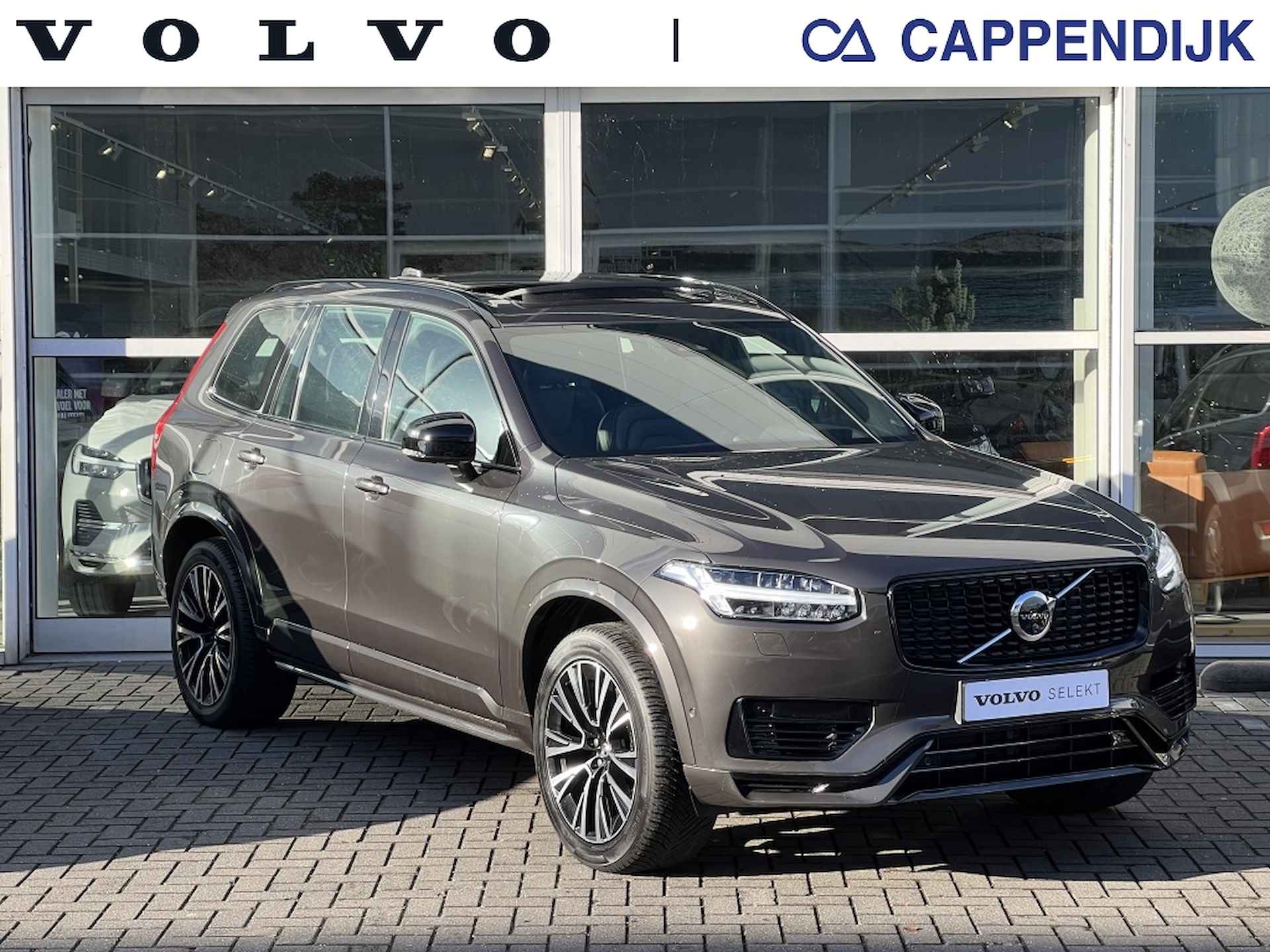 Volvo XC90 BOVAG 40-Puntencheck