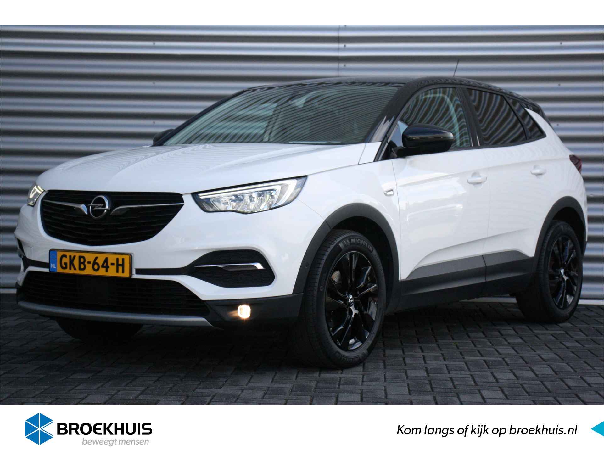 Opel Grandland X BOVAG 40-Puntencheck