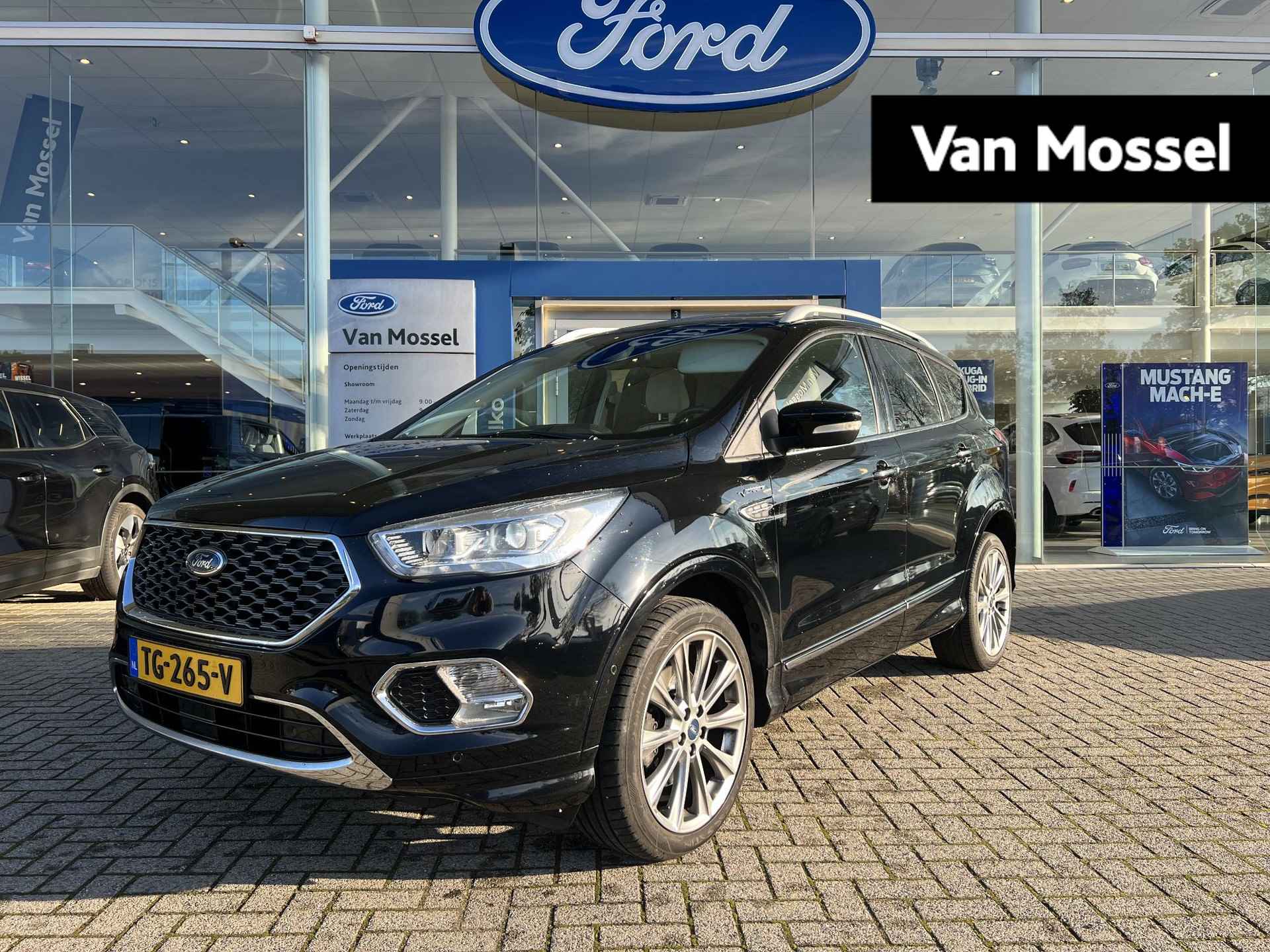 Ford Kuga BOVAG 40-Puntencheck