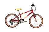 Raleigh Pop 20 inch