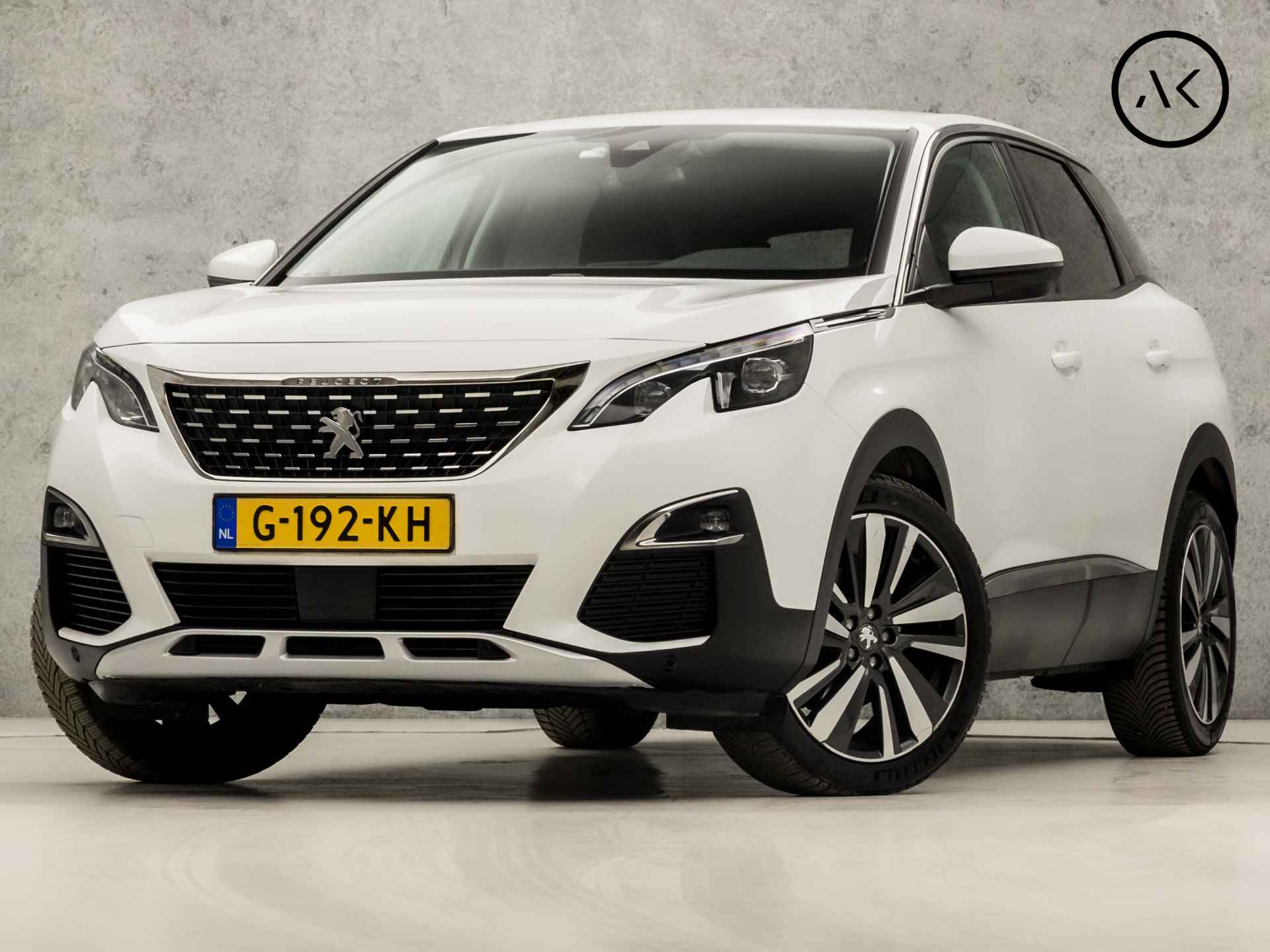 Peugeot 3008 BOVAG 40-Puntencheck