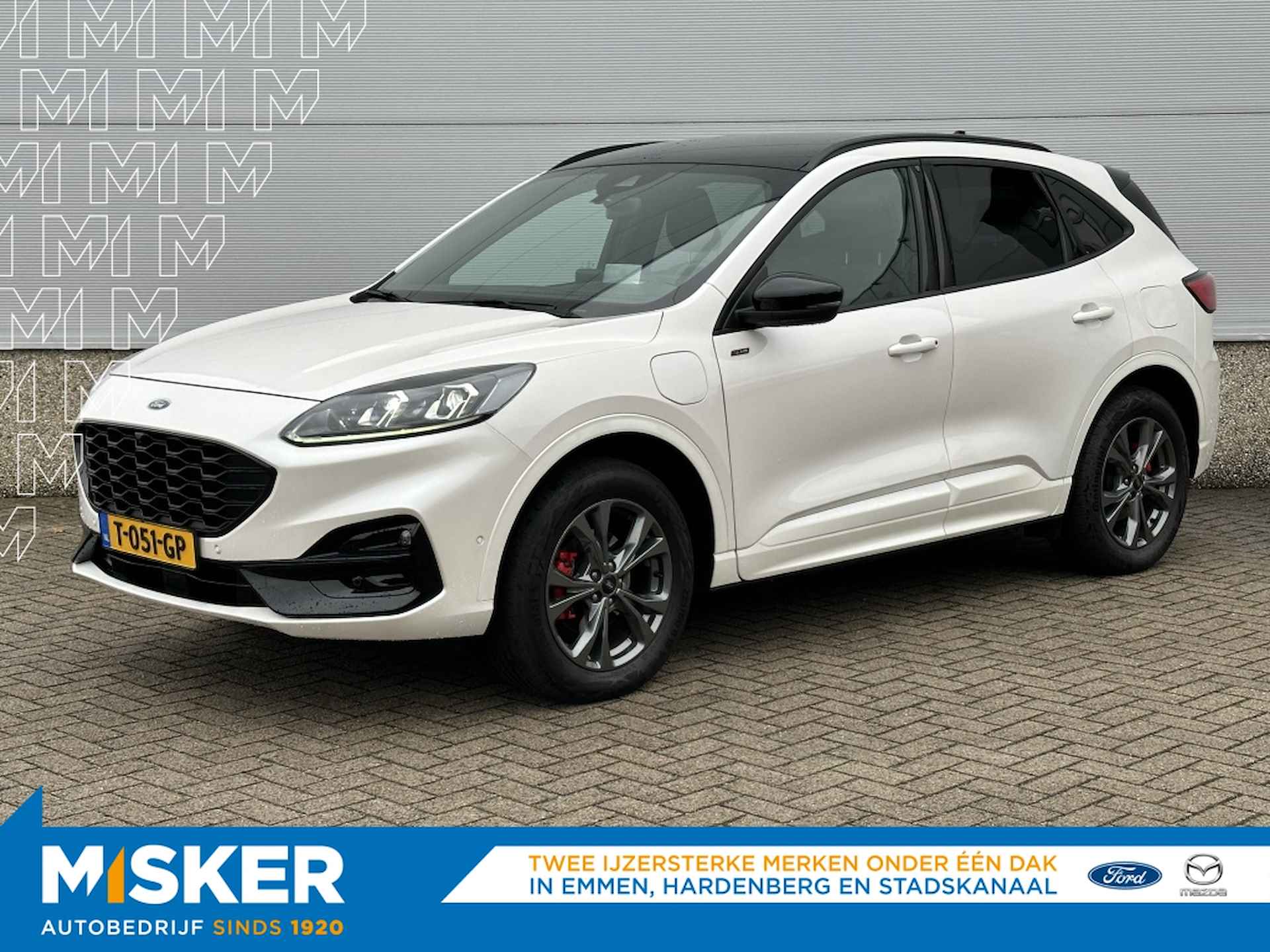 Ford Kuga BOVAG 40-Puntencheck