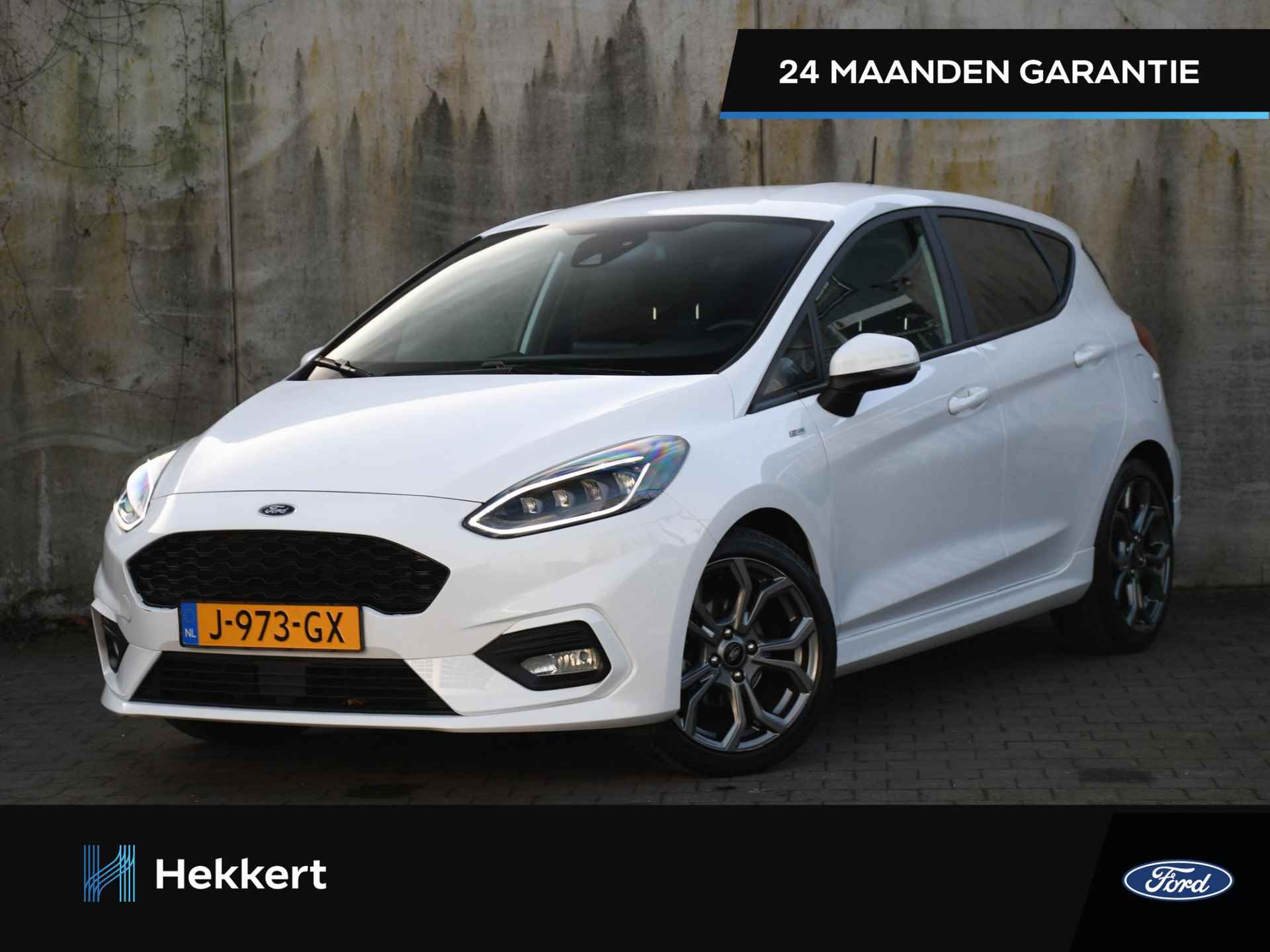 Ford Fiesta BOVAG 40-Puntencheck