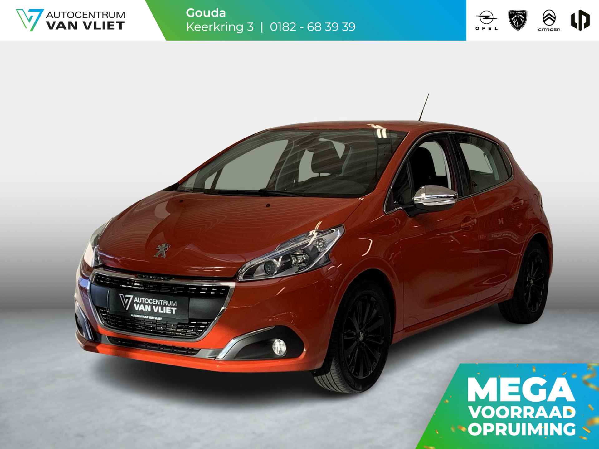 Peugeot 208 BOVAG 40-Puntencheck