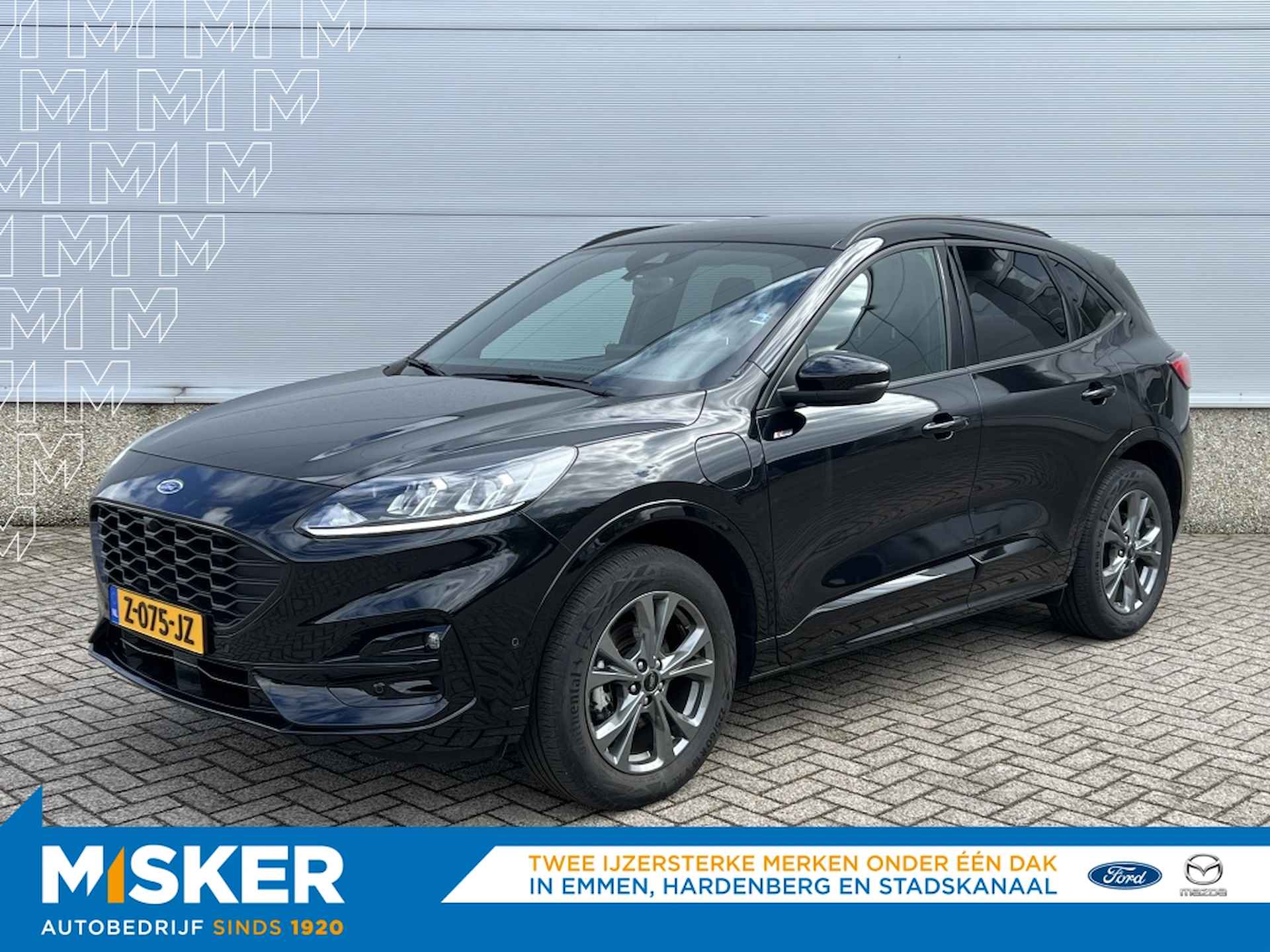 Ford Kuga BOVAG 40-Puntencheck