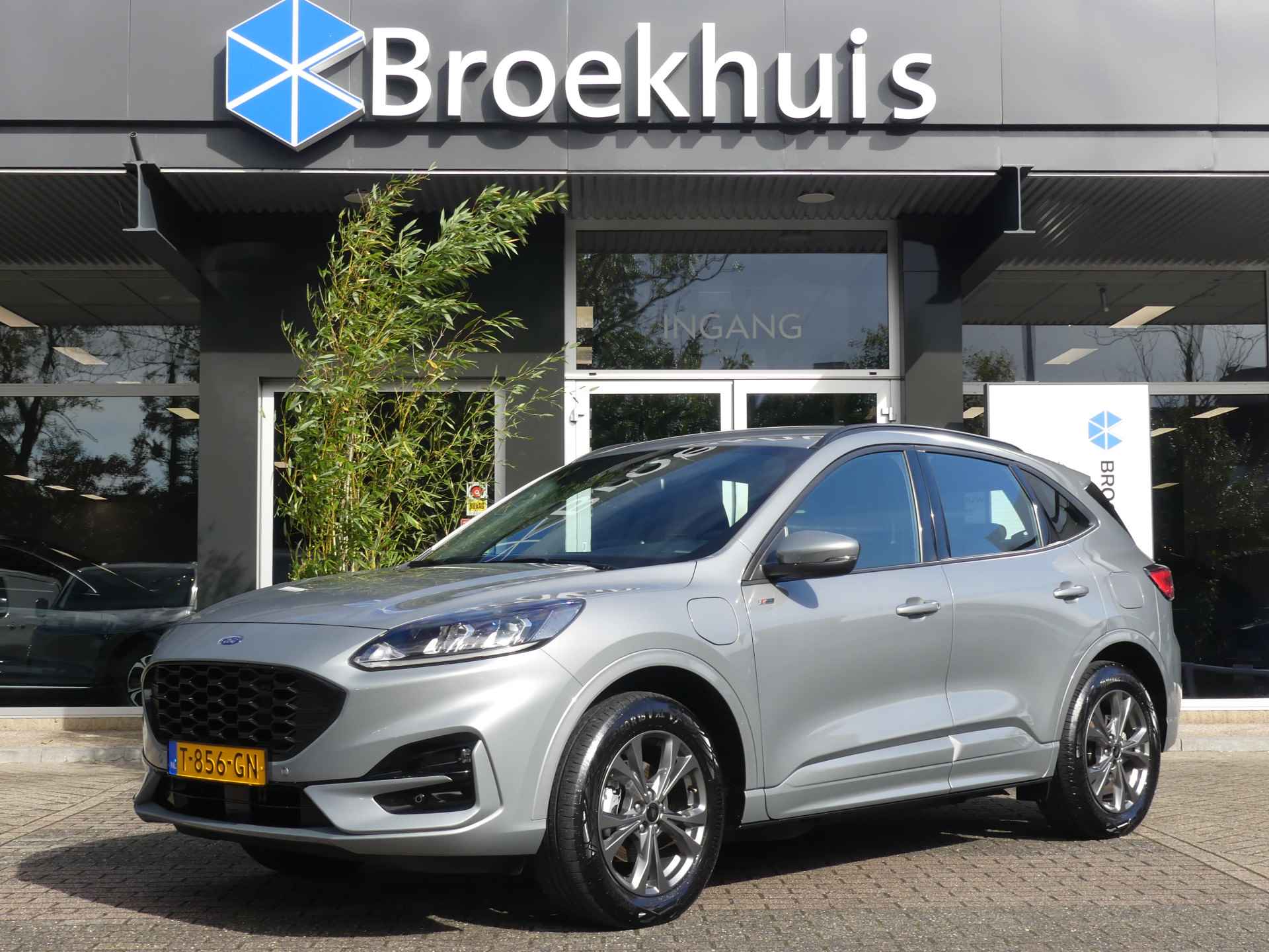 Ford Kuga BOVAG 40-Puntencheck