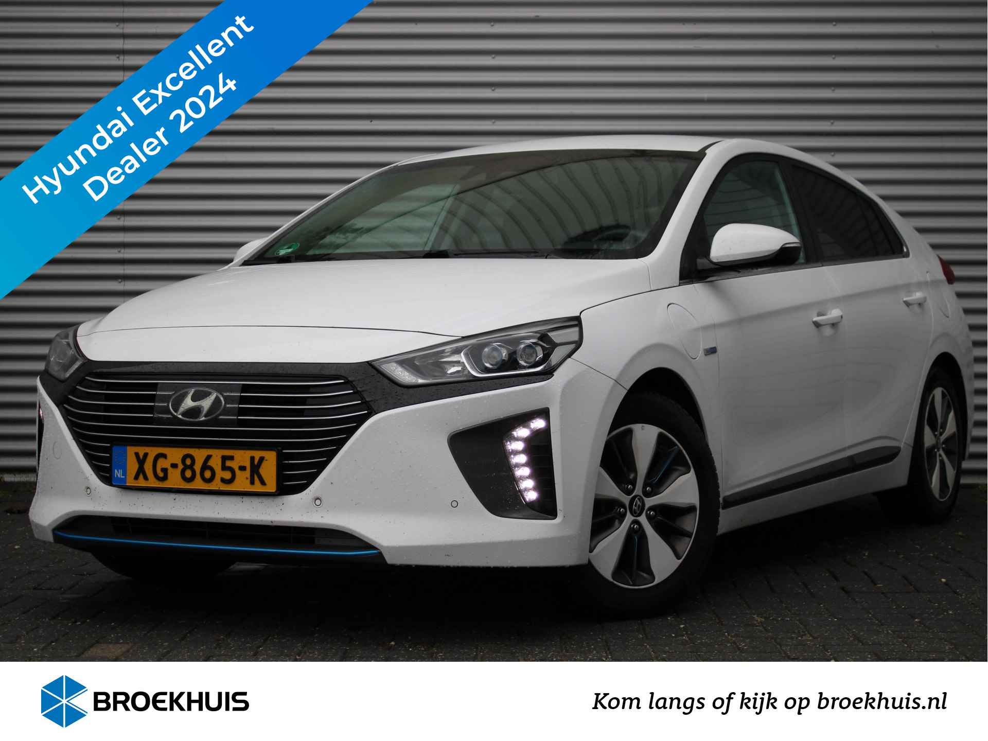 Hyundai Ioniq BOVAG 40-Puntencheck