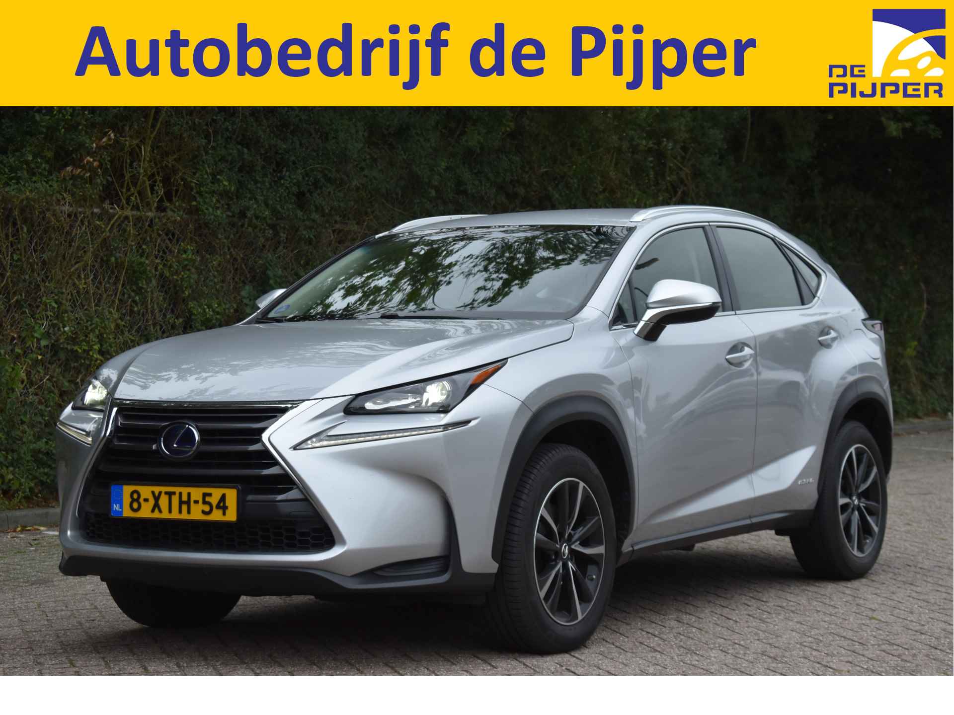 Lexus NX BOVAG 40-Puntencheck